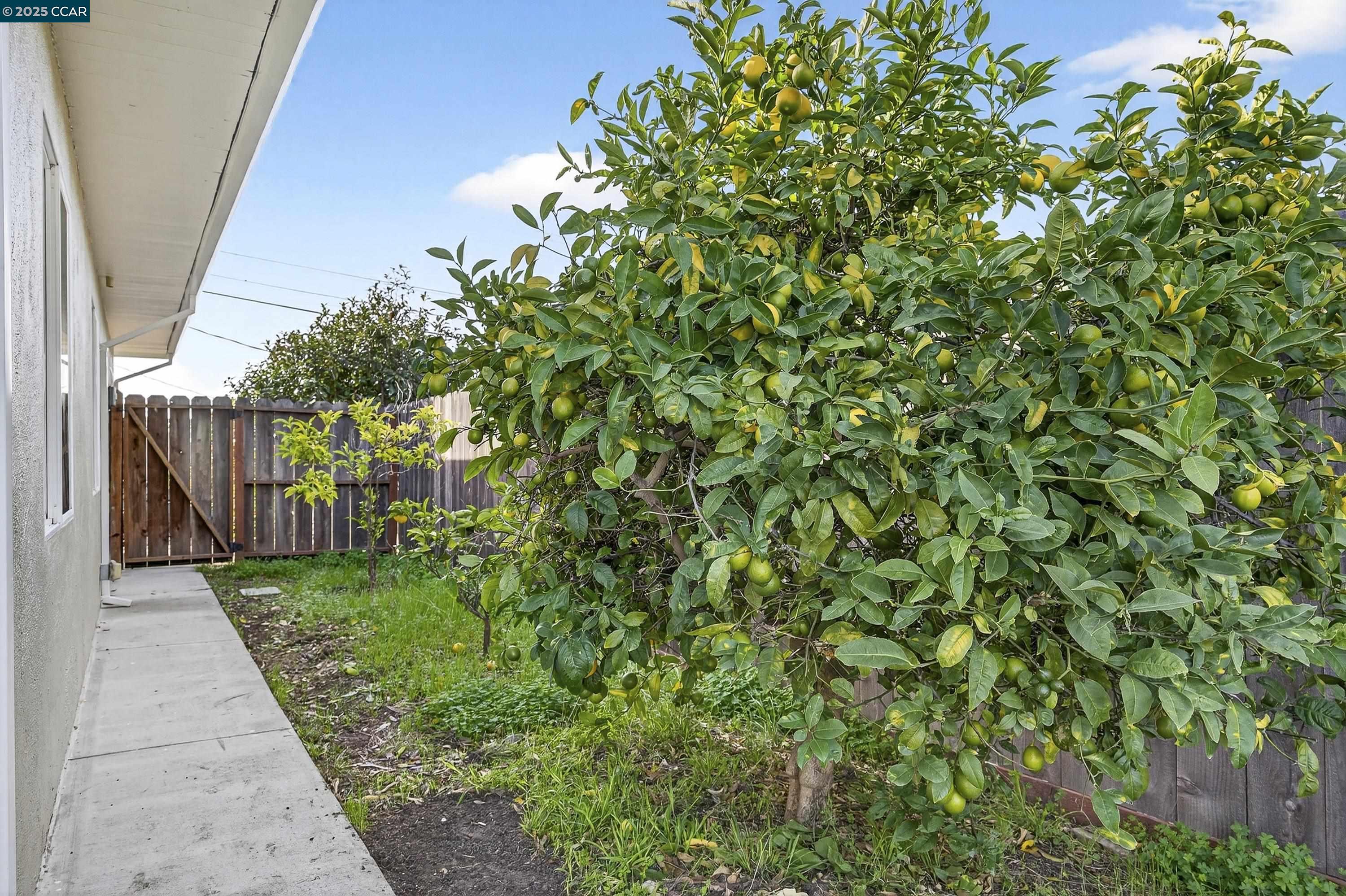 Detail Gallery Image 43 of 46 For 239 Jennifer Dr, San Pablo,  CA 94806 - 3 Beds | 1 Baths