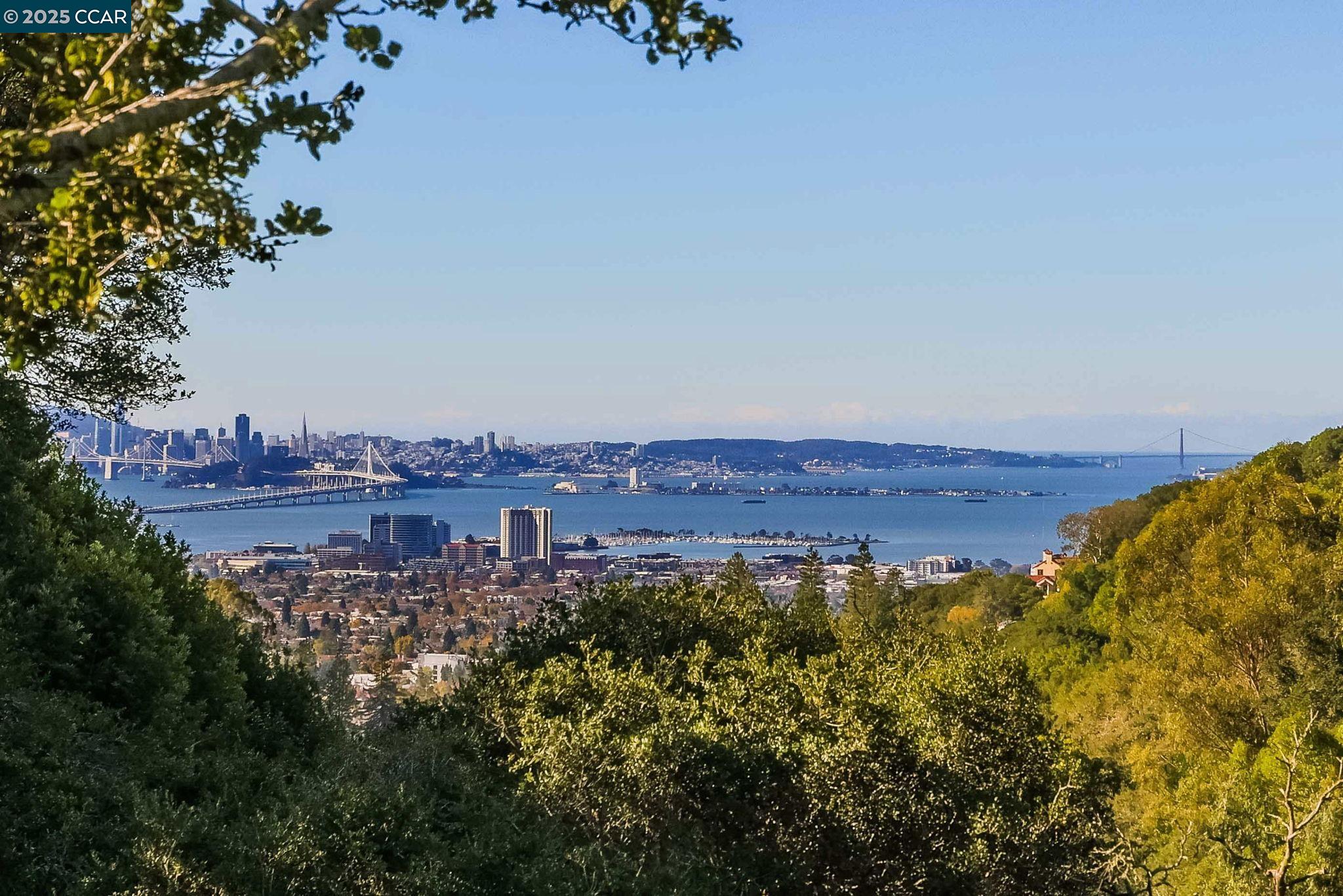 Front Image Thumbnail for CC41118603