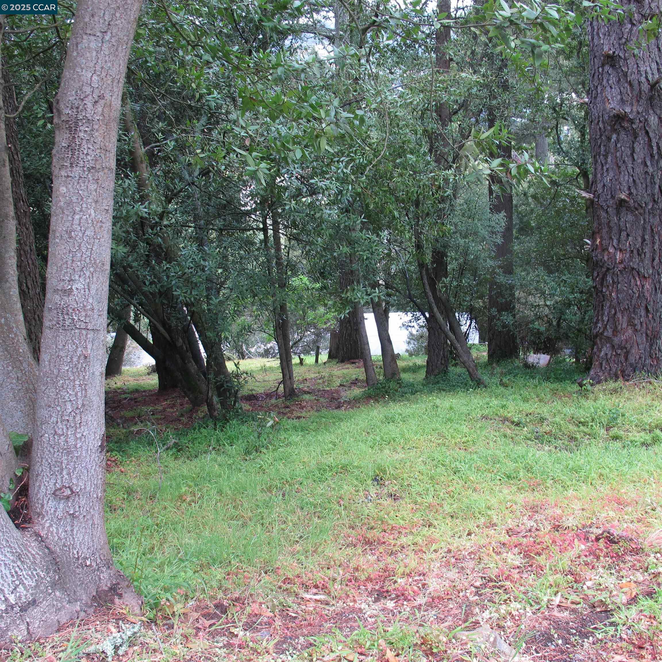 Detail Gallery Image 6 of 15 For 6044 Skyline Blvd, Oakland,  CA 94611 - – Beds | – Baths