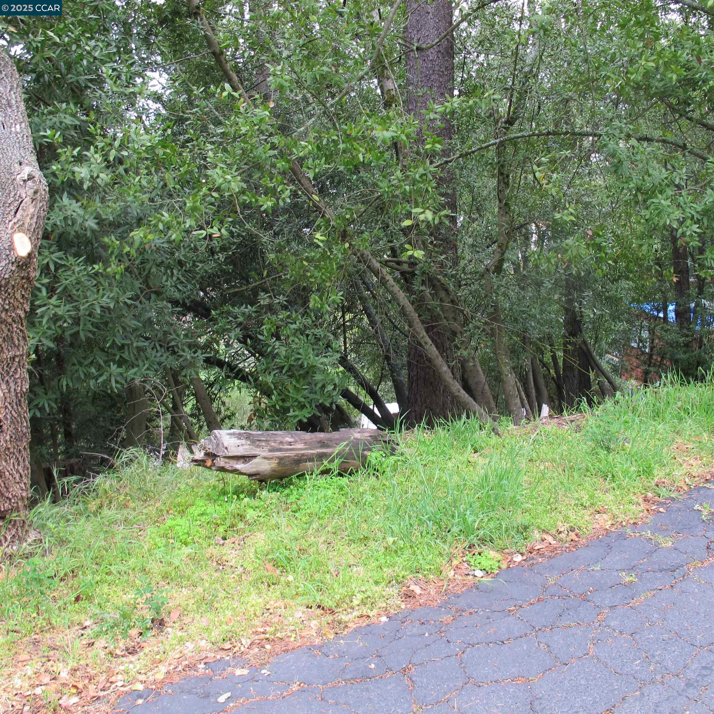 Detail Gallery Image 8 of 15 For 6044 Skyline Blvd, Oakland,  CA 94611 - – Beds | – Baths