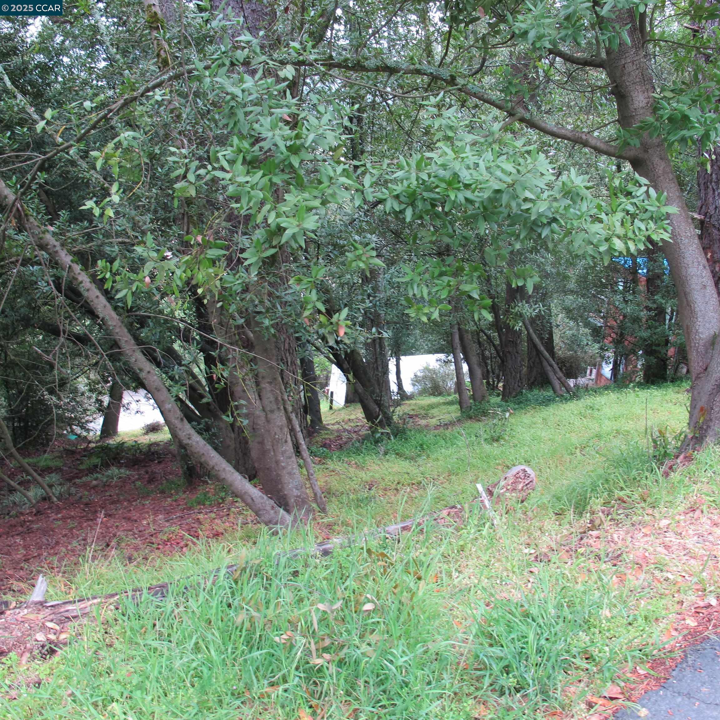 Detail Gallery Image 9 of 15 For 6044 Skyline Blvd, Oakland,  CA 94611 - – Beds | – Baths