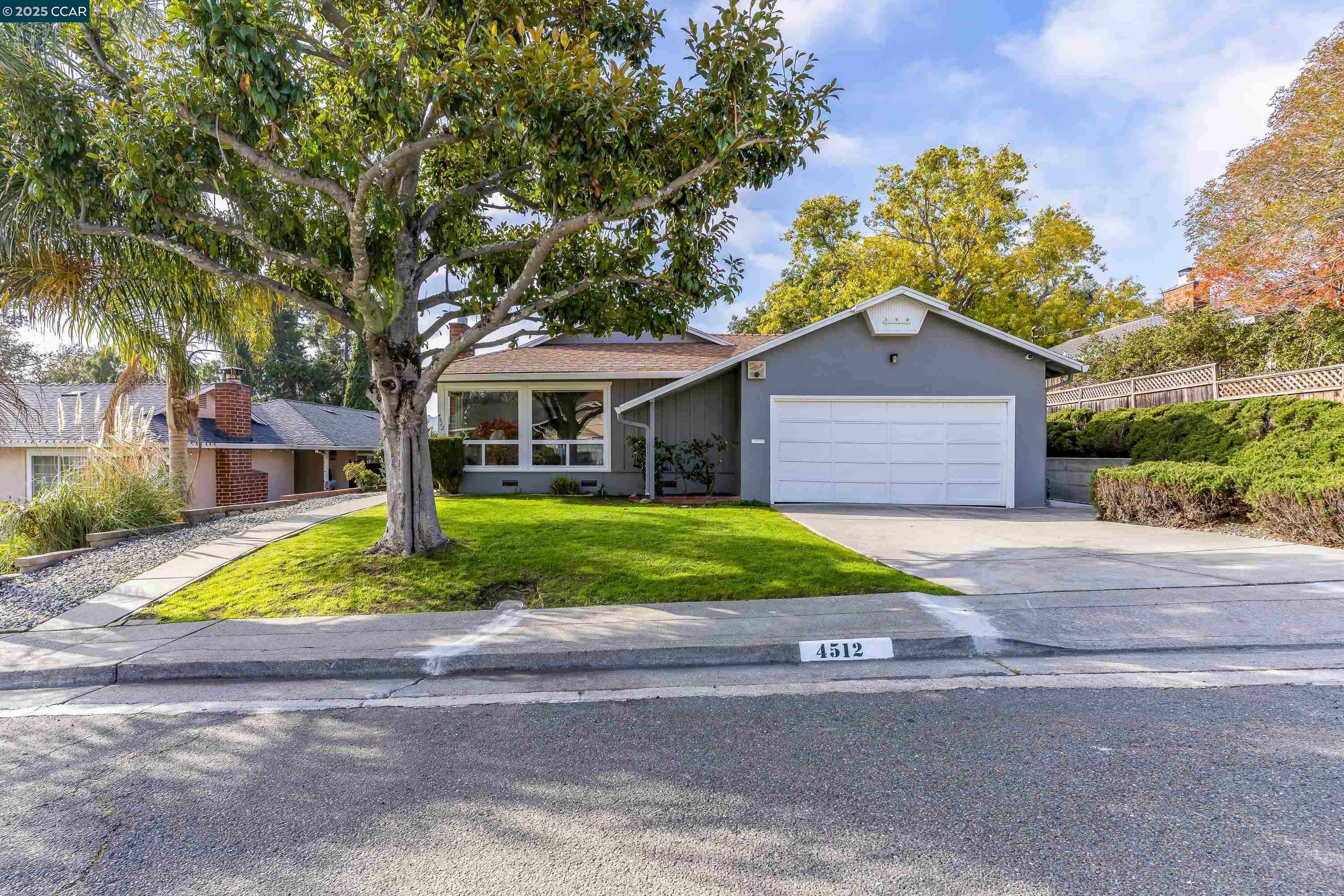 Front Image Thumbnail for CC41118610