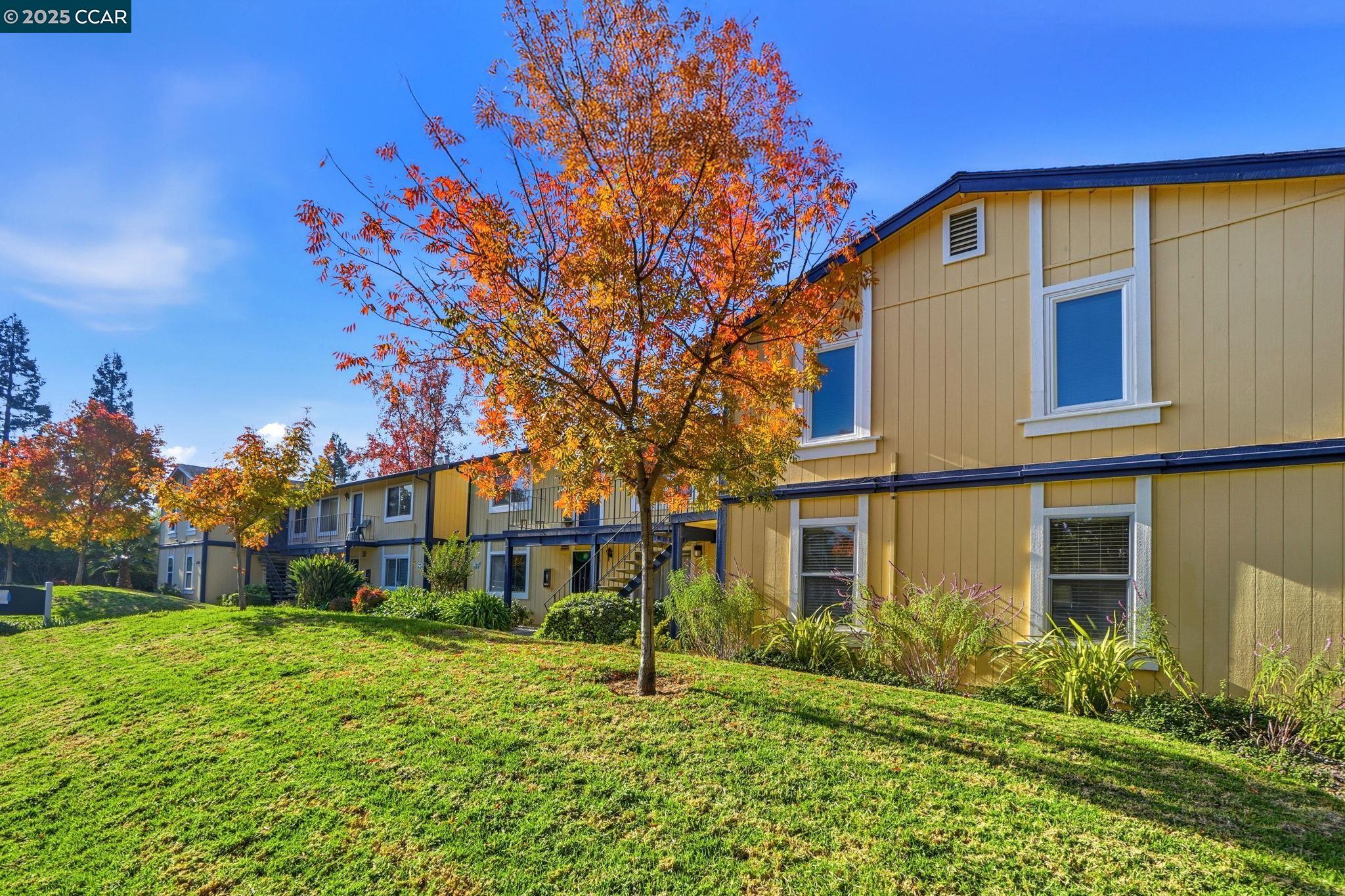 Photo #3: 41118617 Listing: Photo #3