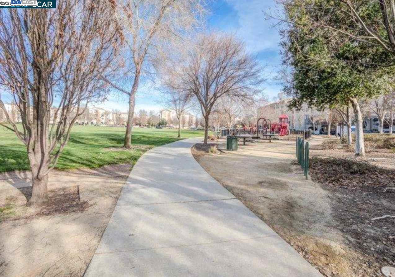 Photo #18: 41118619 Listing: Photo #18