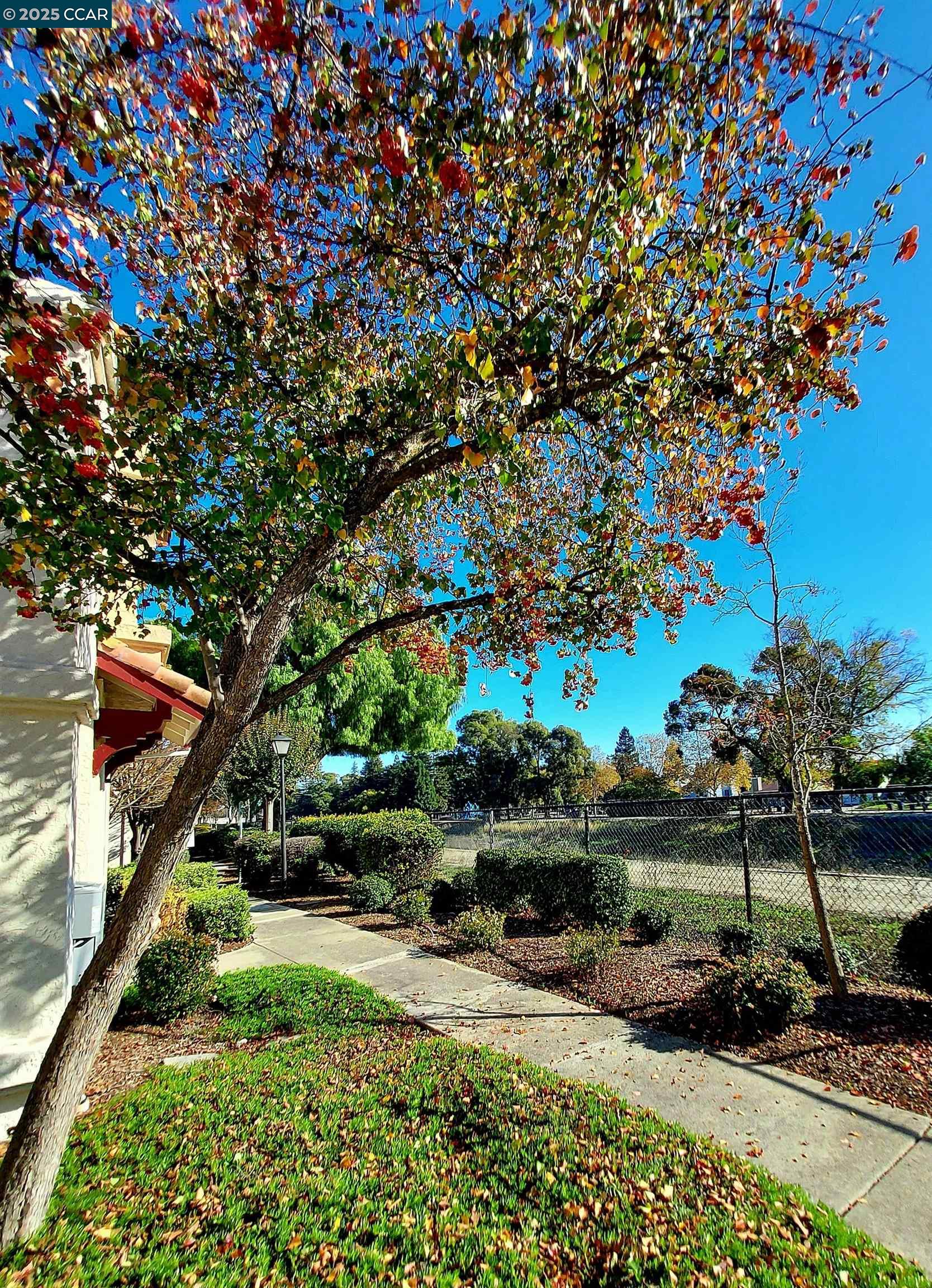 Detail Gallery Image 4 of 37 For 3080 Casadero Ct, Pleasanton,  CA 94588 - 2 Beds | 2 Baths