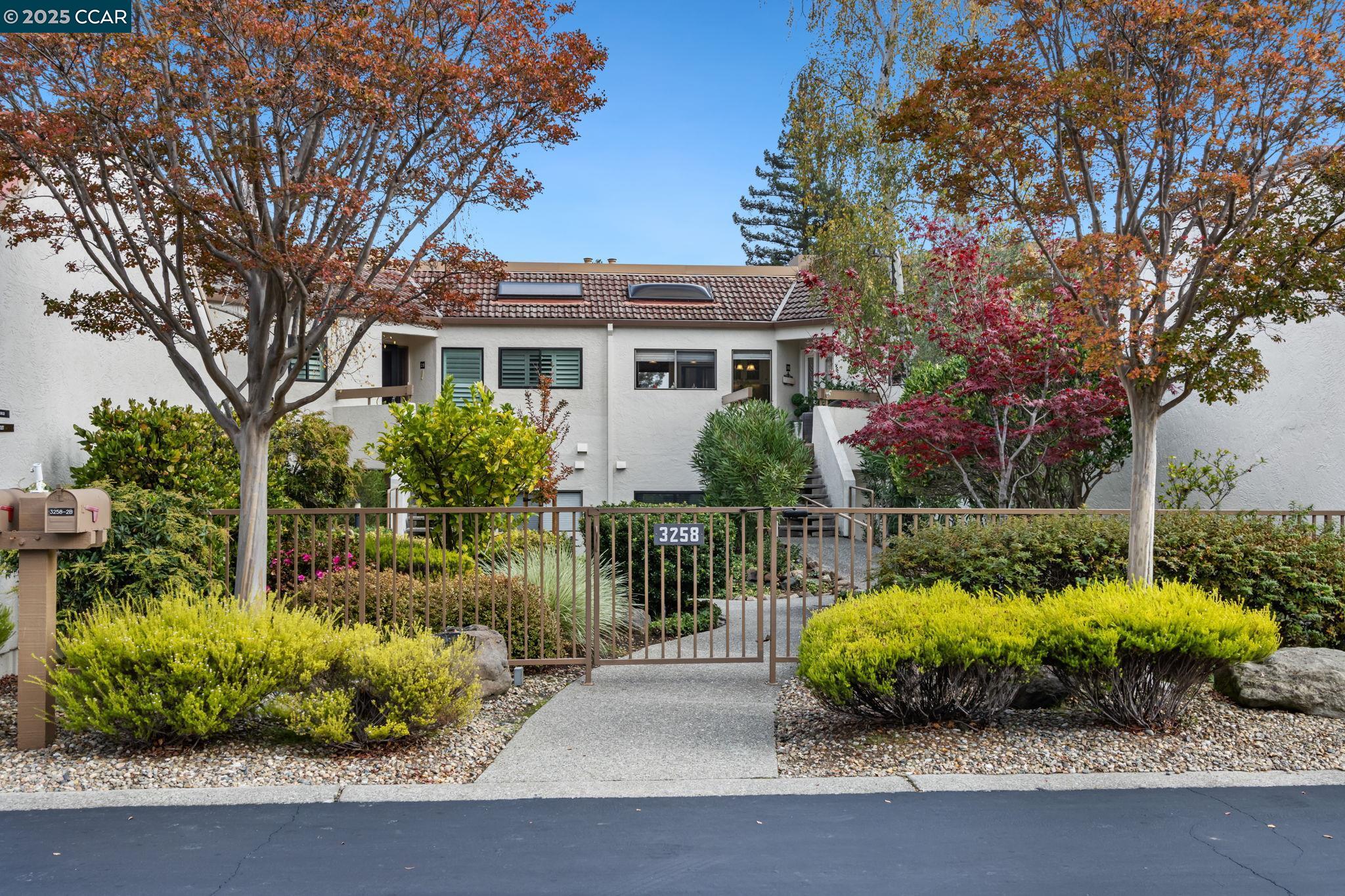 Front Image Thumbnail for CC41118674