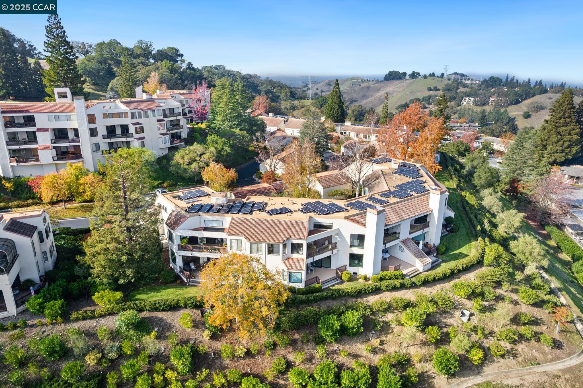 Detail Gallery Image 39 of 44 For 3258 Ptarmigan Dr 3b,  Walnut Creek,  CA 94595 - 3 Beds | 2 Baths