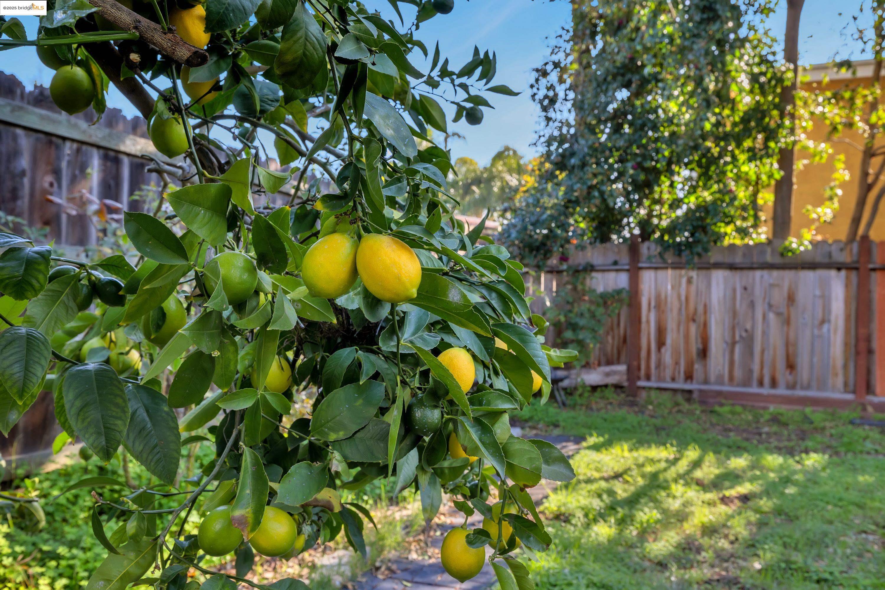Detail Gallery Image 45 of 46 For 3388 64th Ave, Oakland,  CA 94605 - 3 Beds | 1 Baths