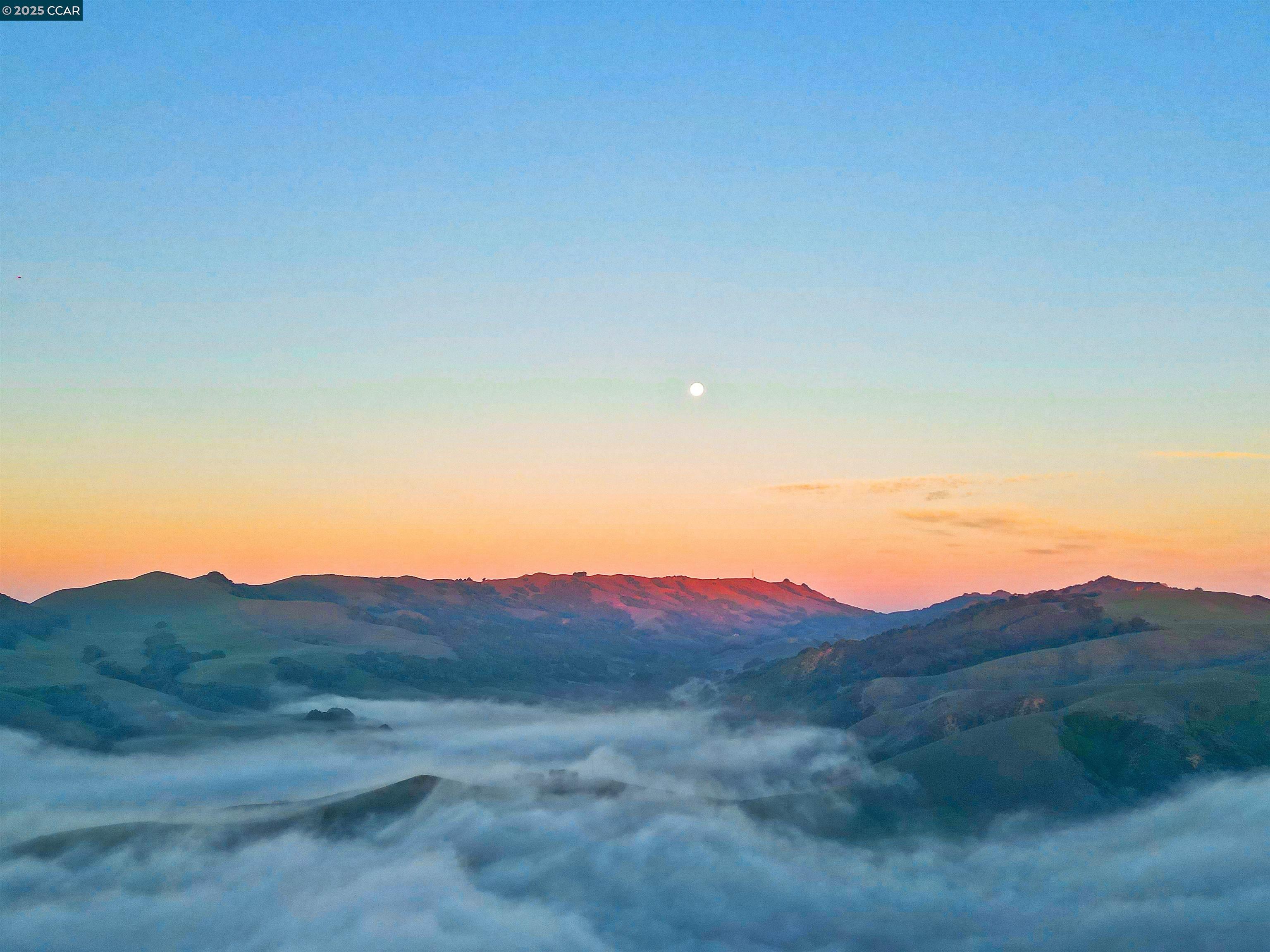 Detail Gallery Image 37 of 60 For 528 Caprio Ct, San Ramon,  CA 94583 - 4 Beds | 3 Baths