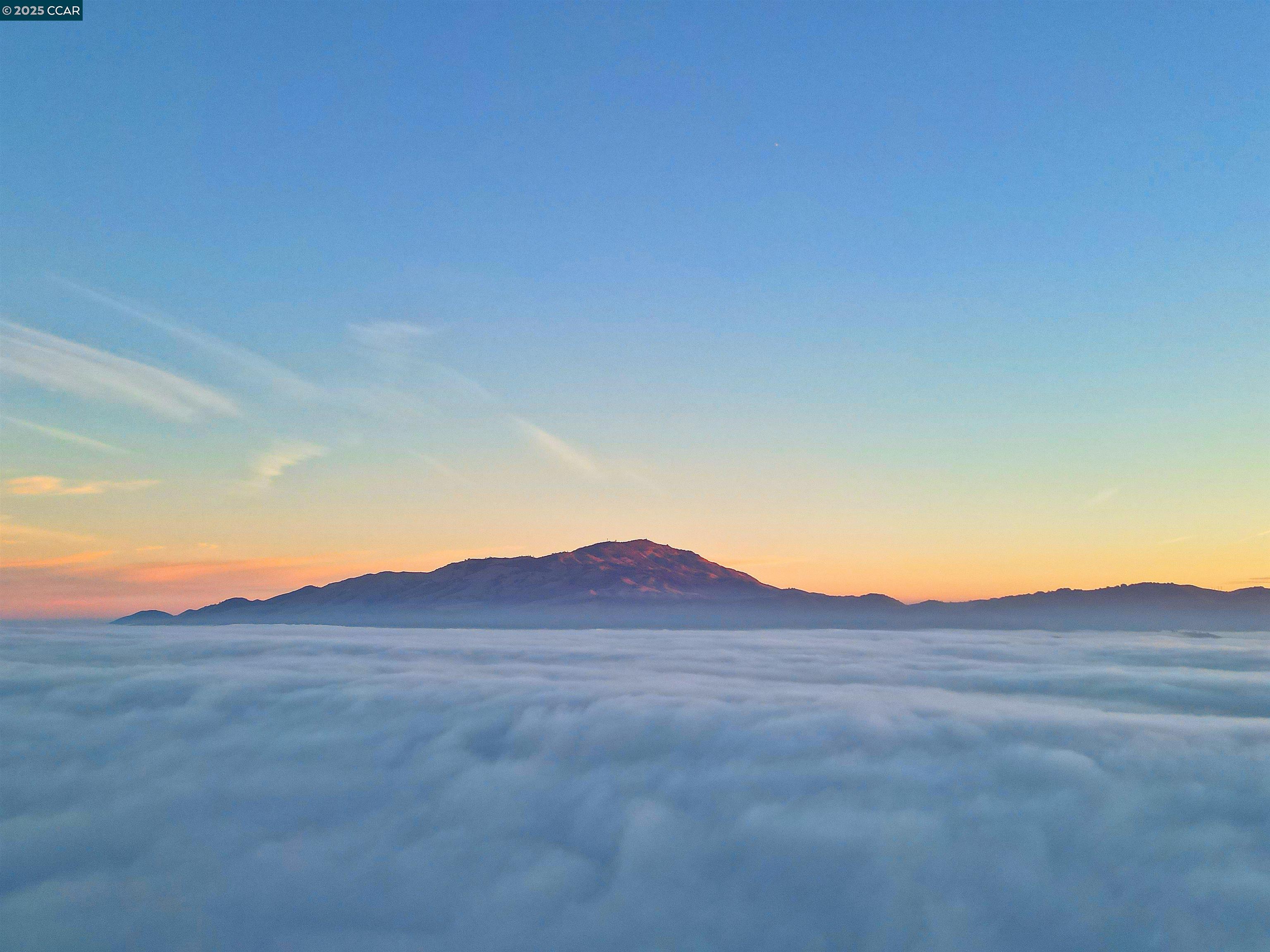 Detail Gallery Image 46 of 60 For 528 Caprio Ct, San Ramon,  CA 94583 - 4 Beds | 3 Baths