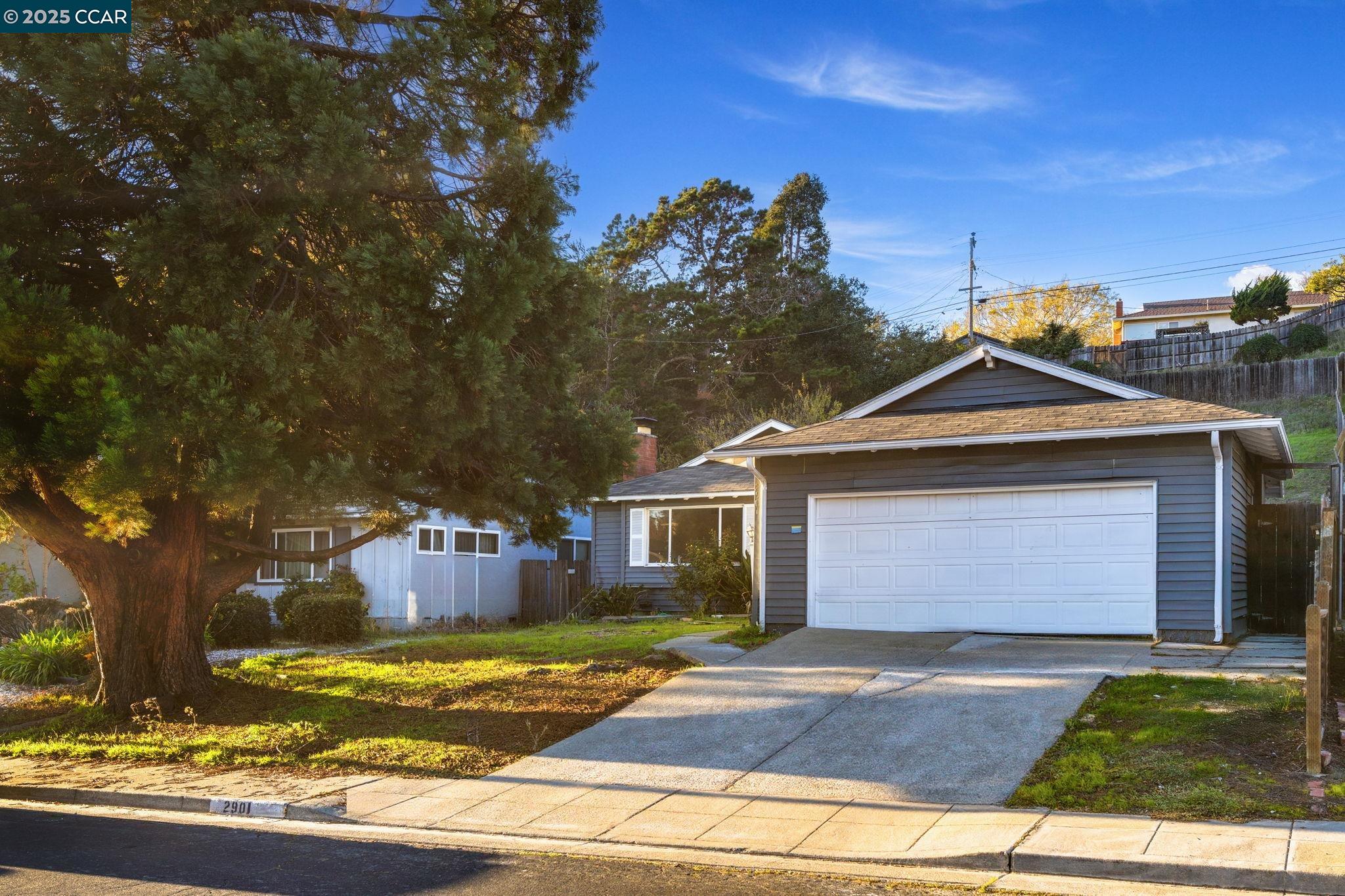 Front Image Thumbnail for CC41118721