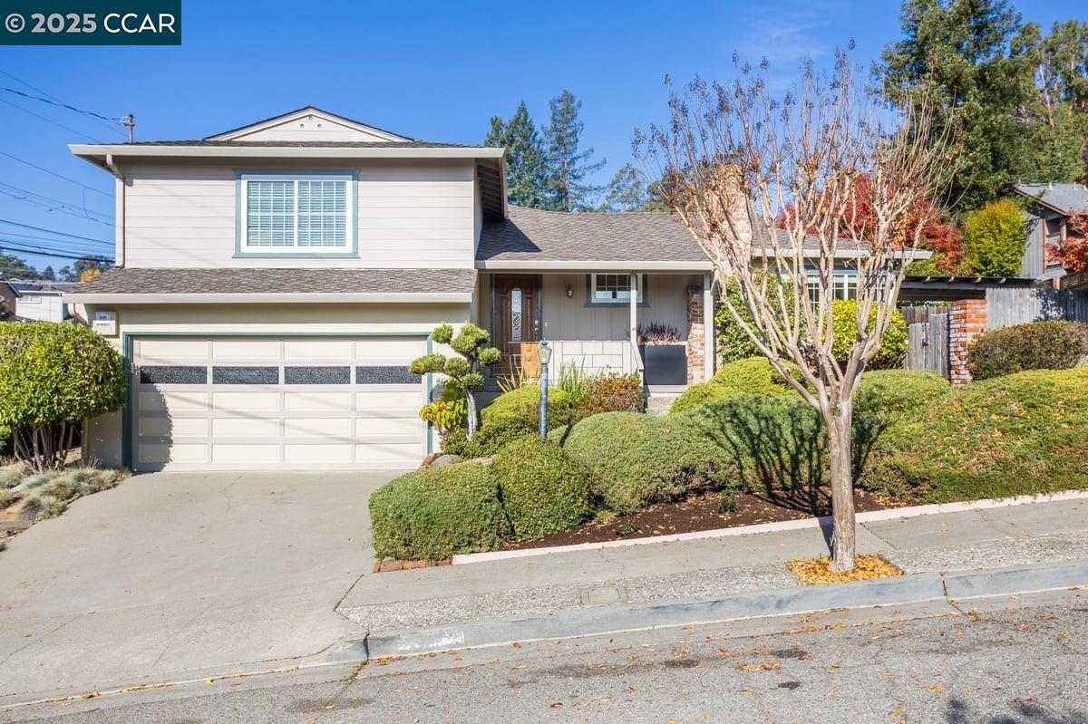 Front Image Thumbnail for CC41118727