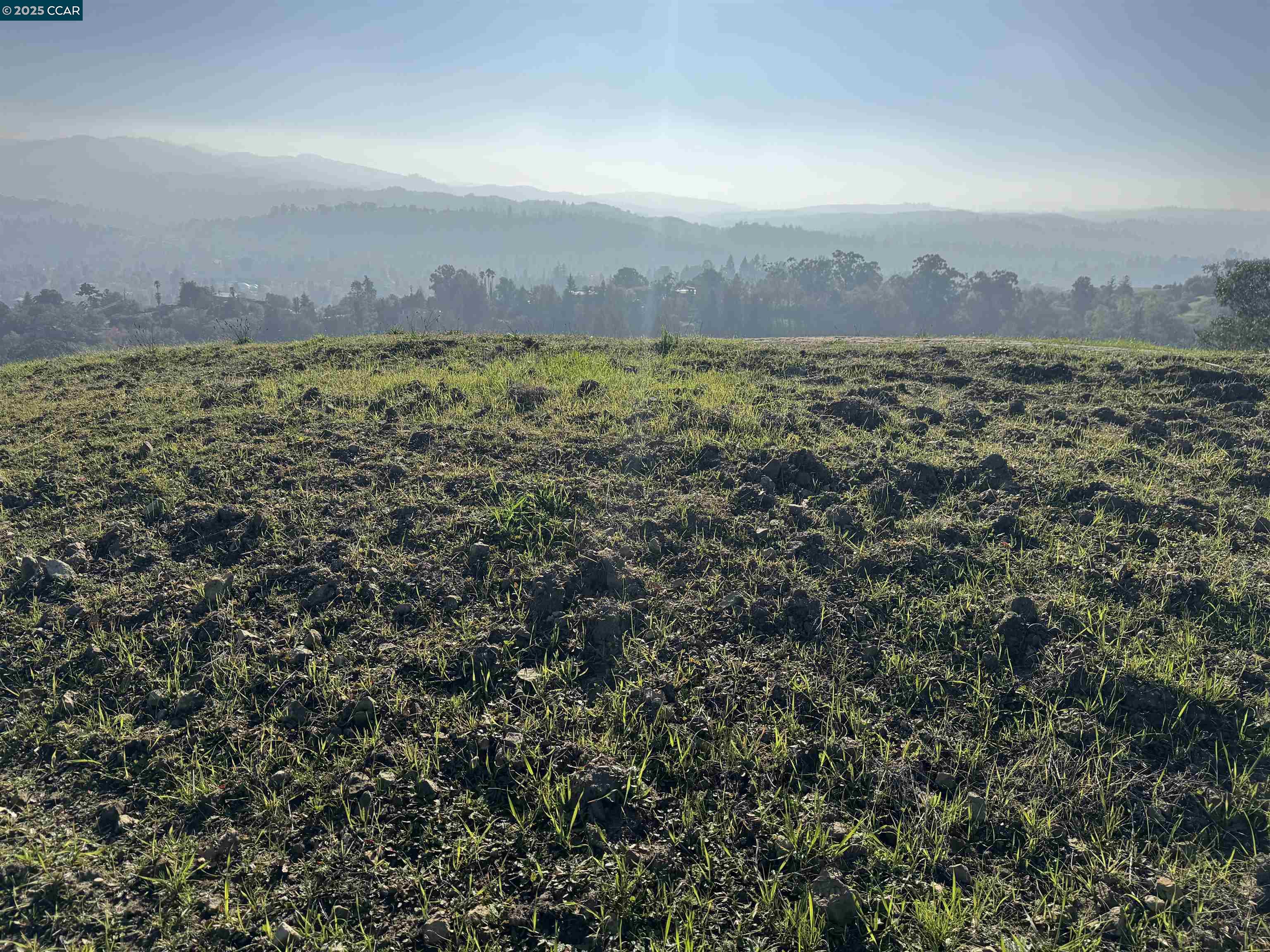 Front Image Thumbnail for CC41118740