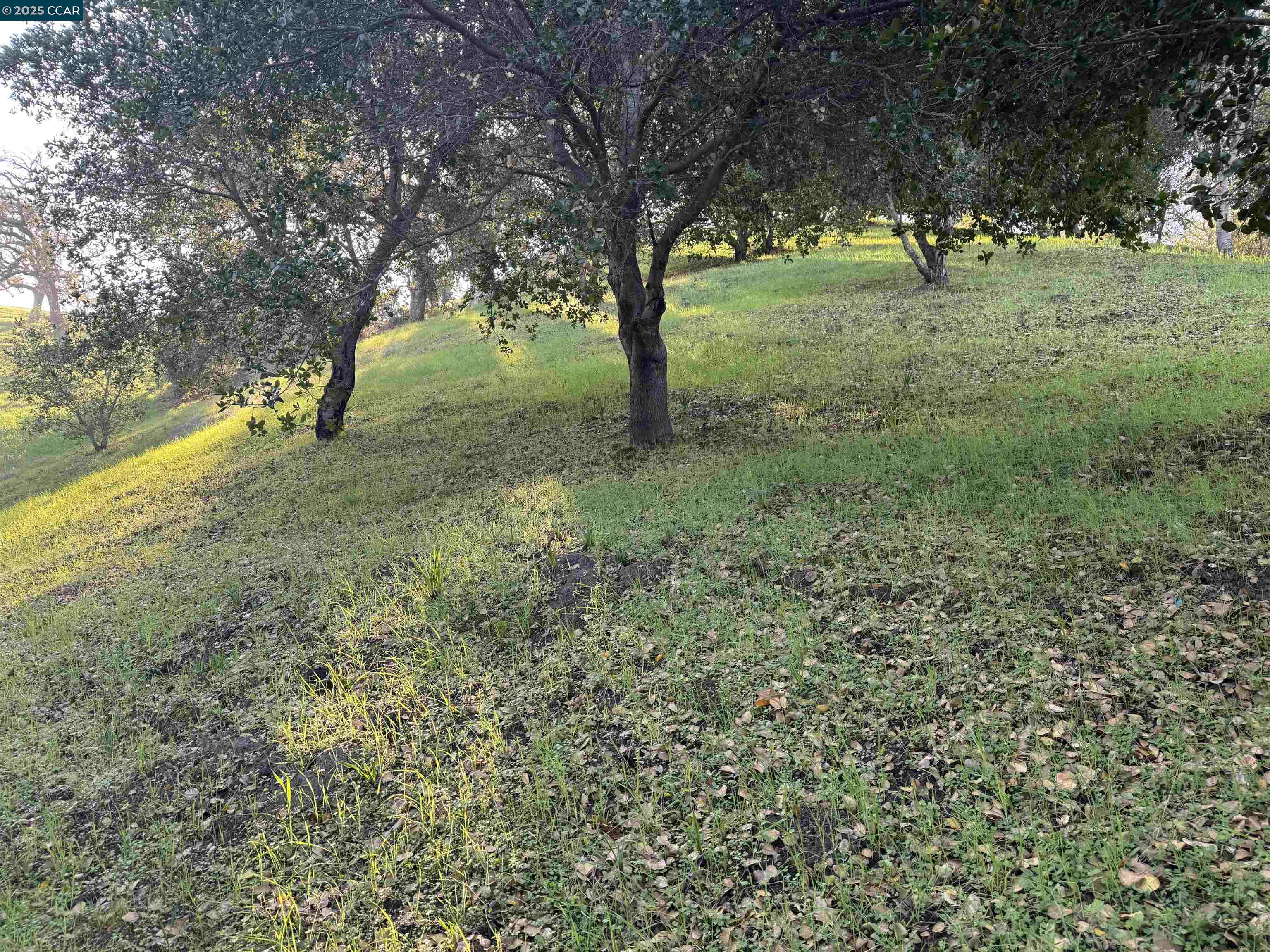 Detail Gallery Image 14 of 23 For 43 Cuesta Way, Walnut Creek,  CA 94597 - – Beds | – Baths