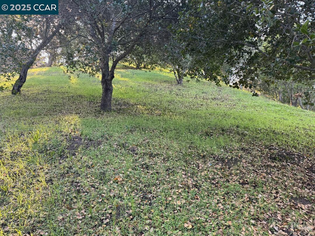 Detail Gallery Image 15 of 23 For 43 Cuesta Way, Walnut Creek,  CA 94597 - – Beds | – Baths