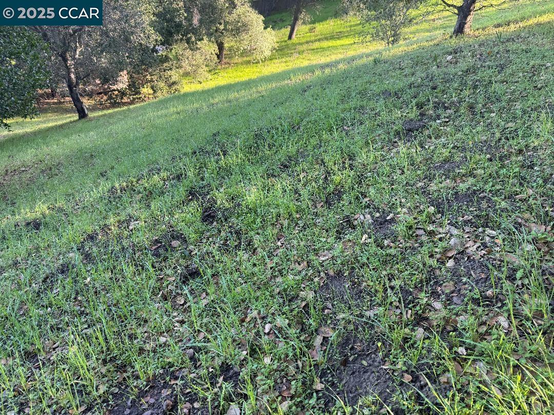 Detail Gallery Image 18 of 23 For 43 Cuesta Way, Walnut Creek,  CA 94597 - – Beds | – Baths