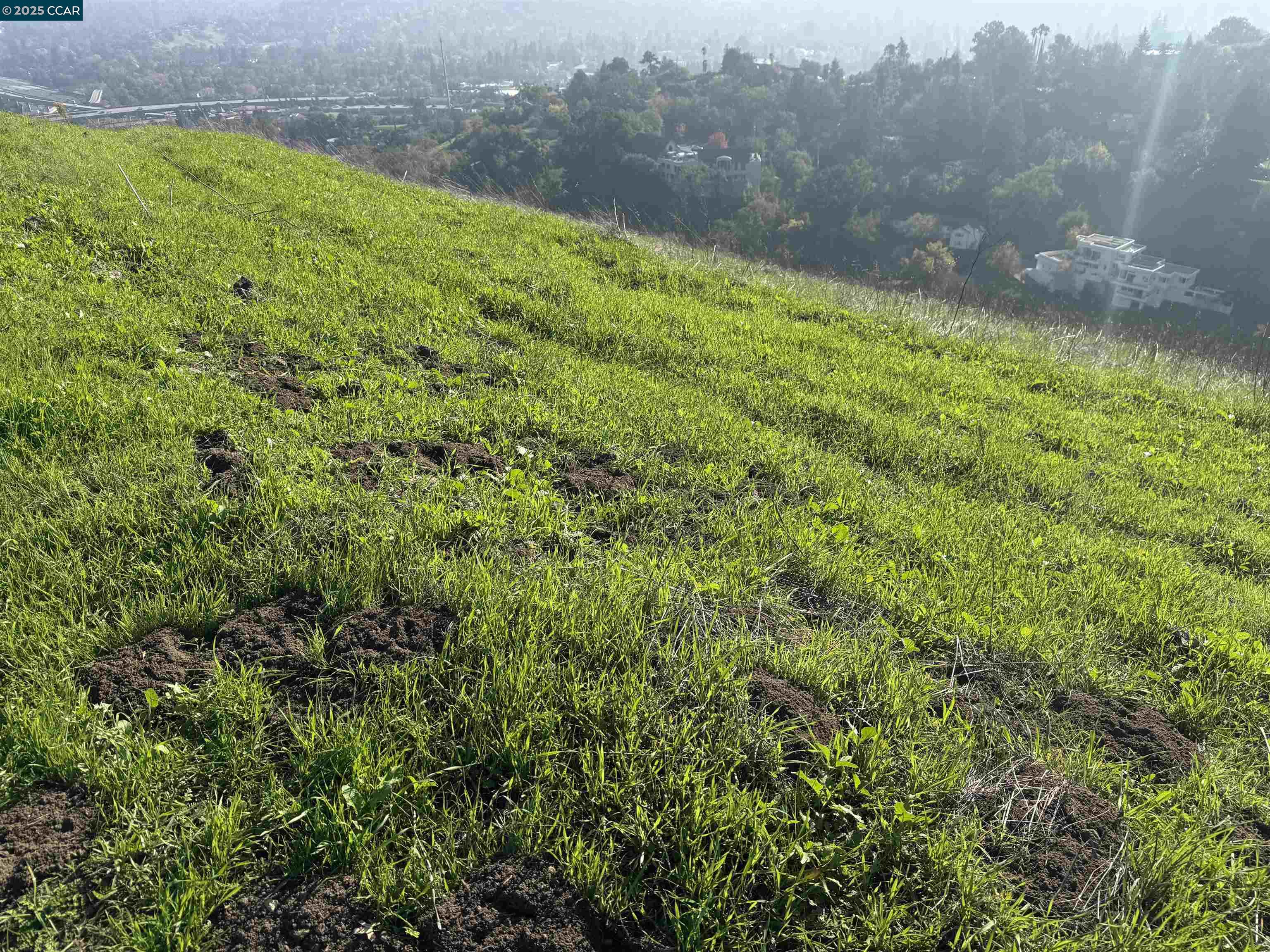 Detail Gallery Image 6 of 23 For 43 Cuesta Way, Walnut Creek,  CA 94597 - – Beds | – Baths