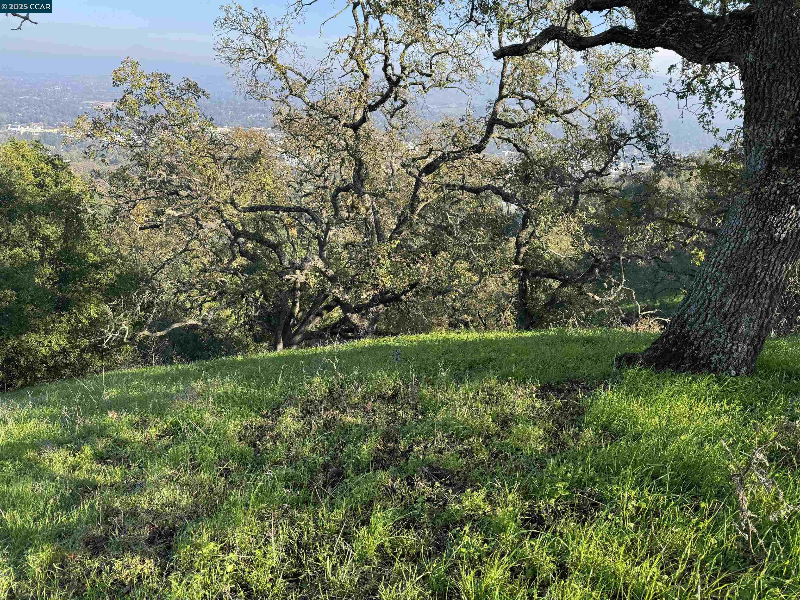 Detail Gallery Image 9 of 23 For 43 Cuesta Way, Walnut Creek,  CA 94597 - – Beds | – Baths