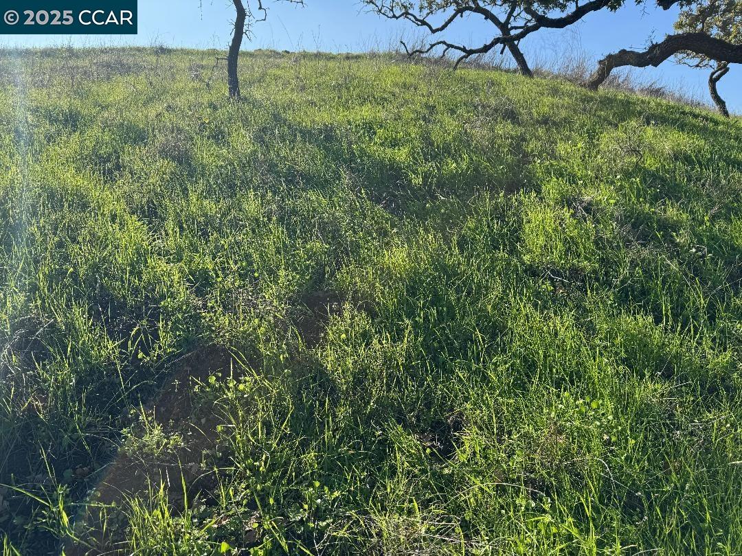 Detail Gallery Image 10 of 23 For 43 Cuesta Way, Walnut Creek,  CA 94597 - – Beds | – Baths