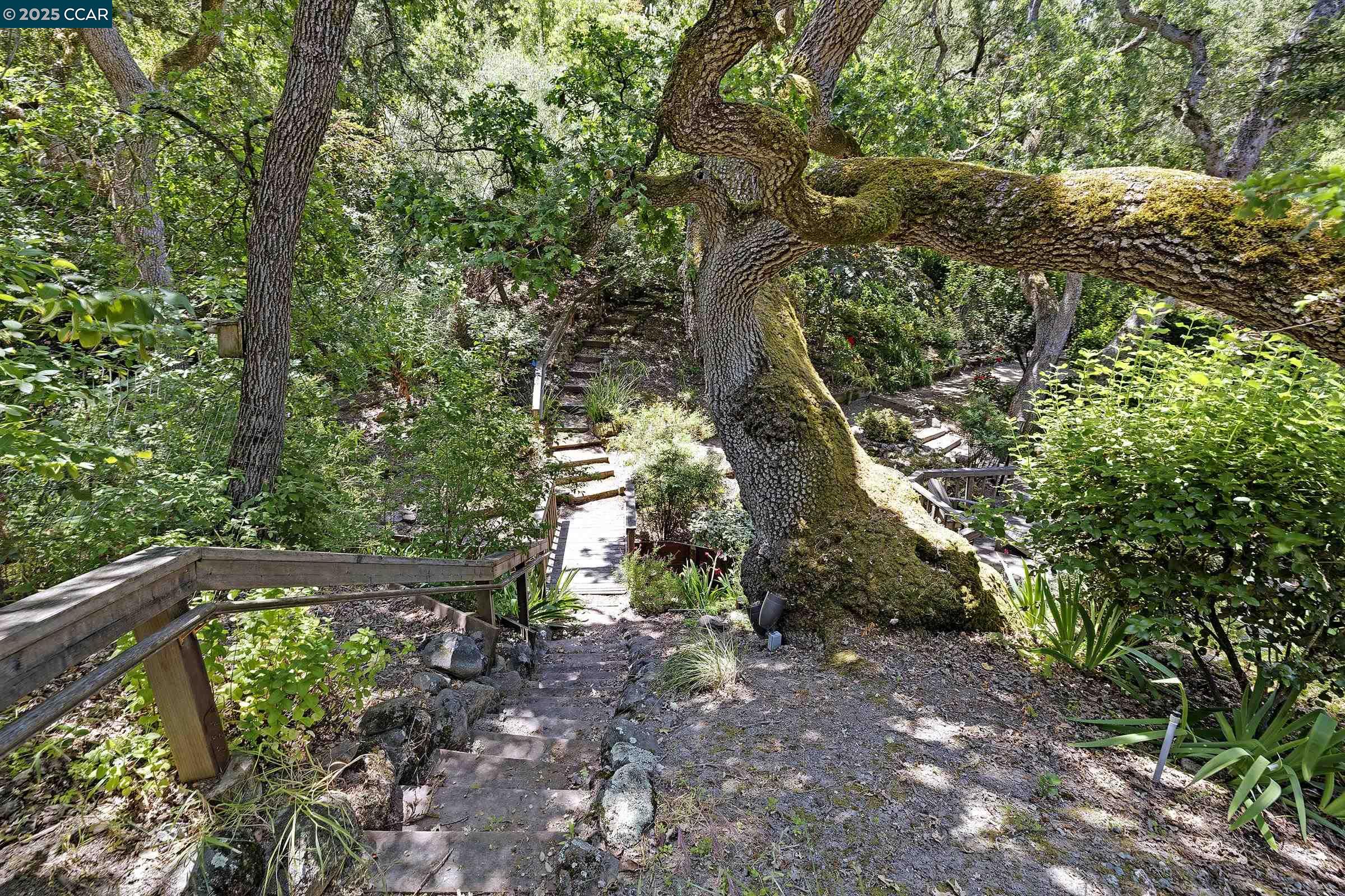 Detail Gallery Image 6 of 44 For 345 Shire Oaks Court, Lafayette,  CA 94549 - 3 Beds | 2/1 Baths