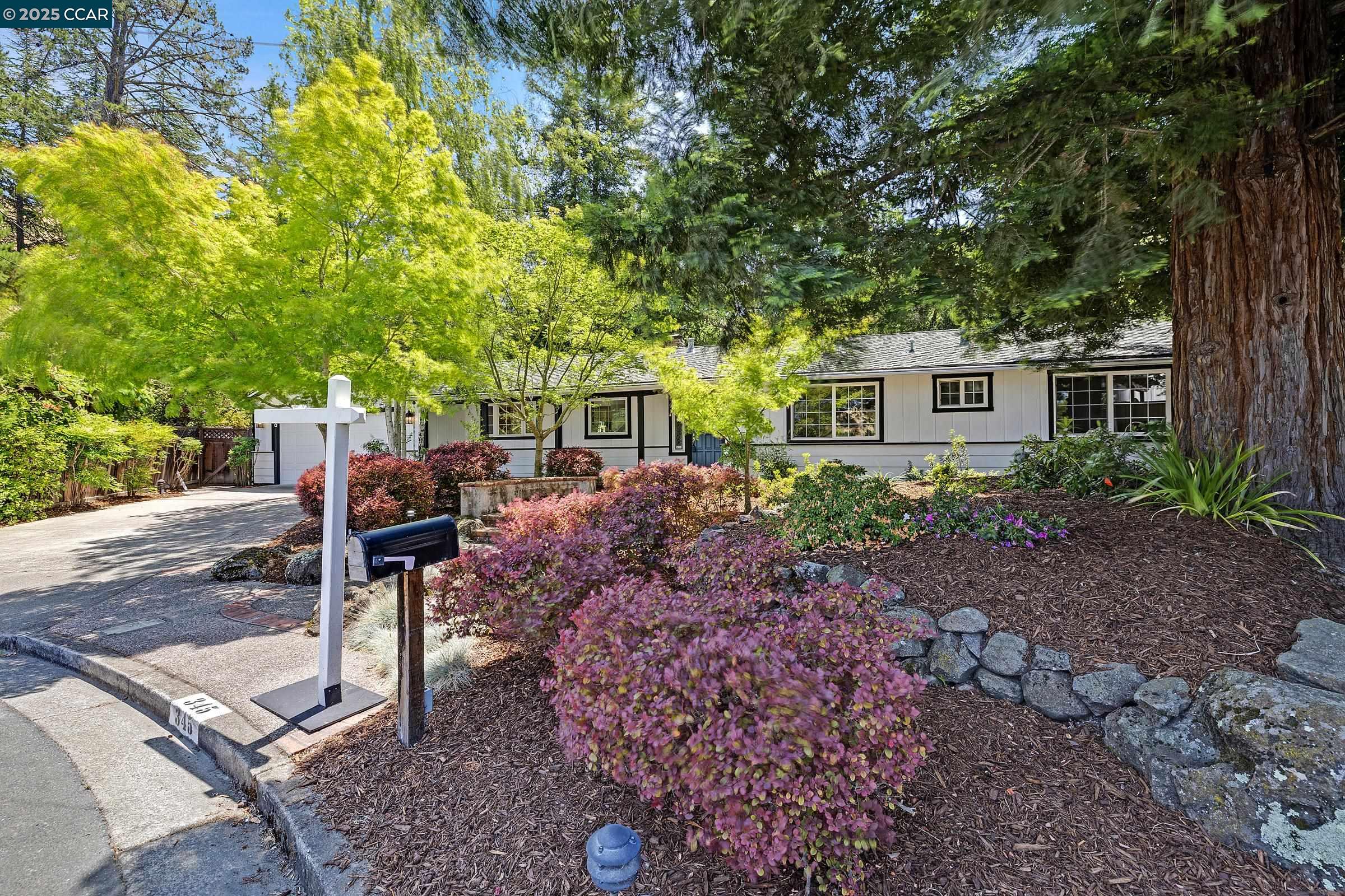 Detail Gallery Image 6 of 40 For 345 Shire Oaks Court, Lafayette,  CA 94549 - 3 Beds | 2/1 Baths