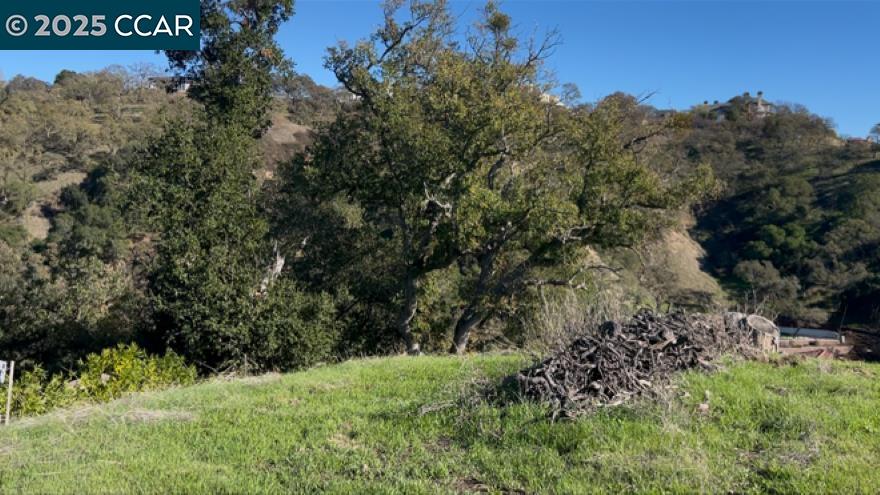 Detail Gallery Image 4 of 5 For 2378 Heritage Oaks Dr, Alamo,  CA 94507 - – Beds | – Baths