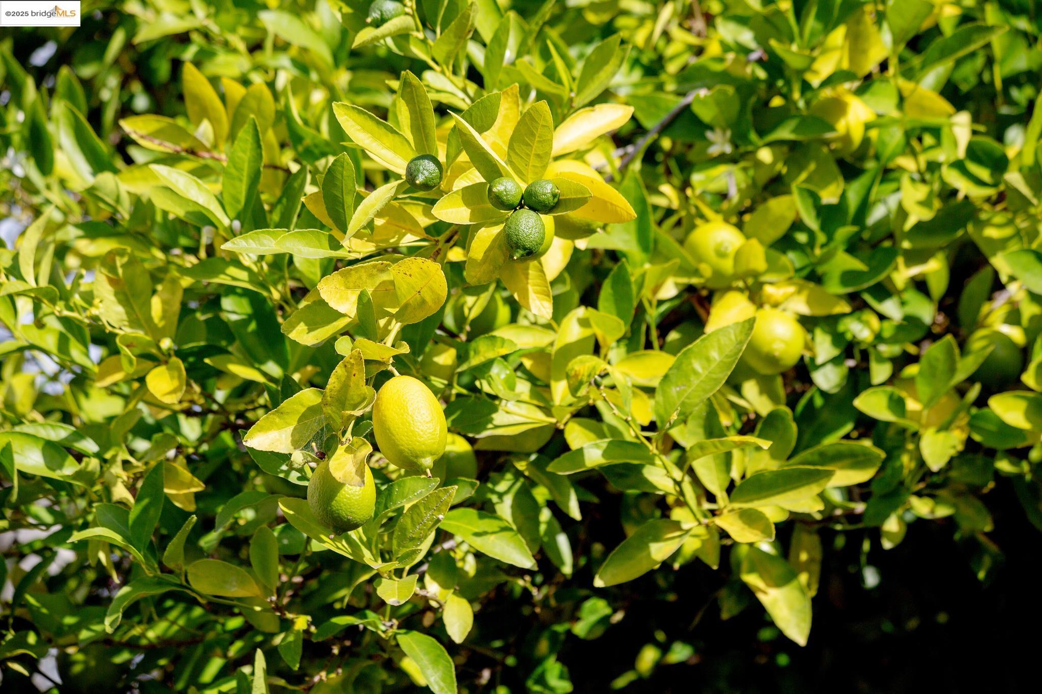 Detail Gallery Image 44 of 47 For 3710 Wisconsin St, Oakland,  CA 94619 - 2 Beds | 2 Baths