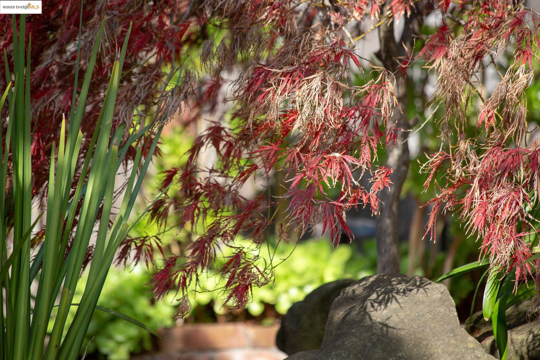 Detail Gallery Image 45 of 47 For 3710 Wisconsin St, Oakland,  CA 94619 - 2 Beds | 2 Baths