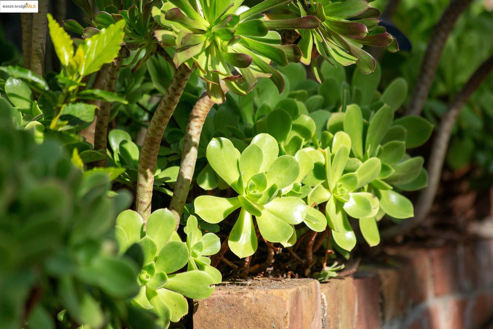 Detail Gallery Image 46 of 47 For 3710 Wisconsin St, Oakland,  CA 94619 - 2 Beds | 2 Baths