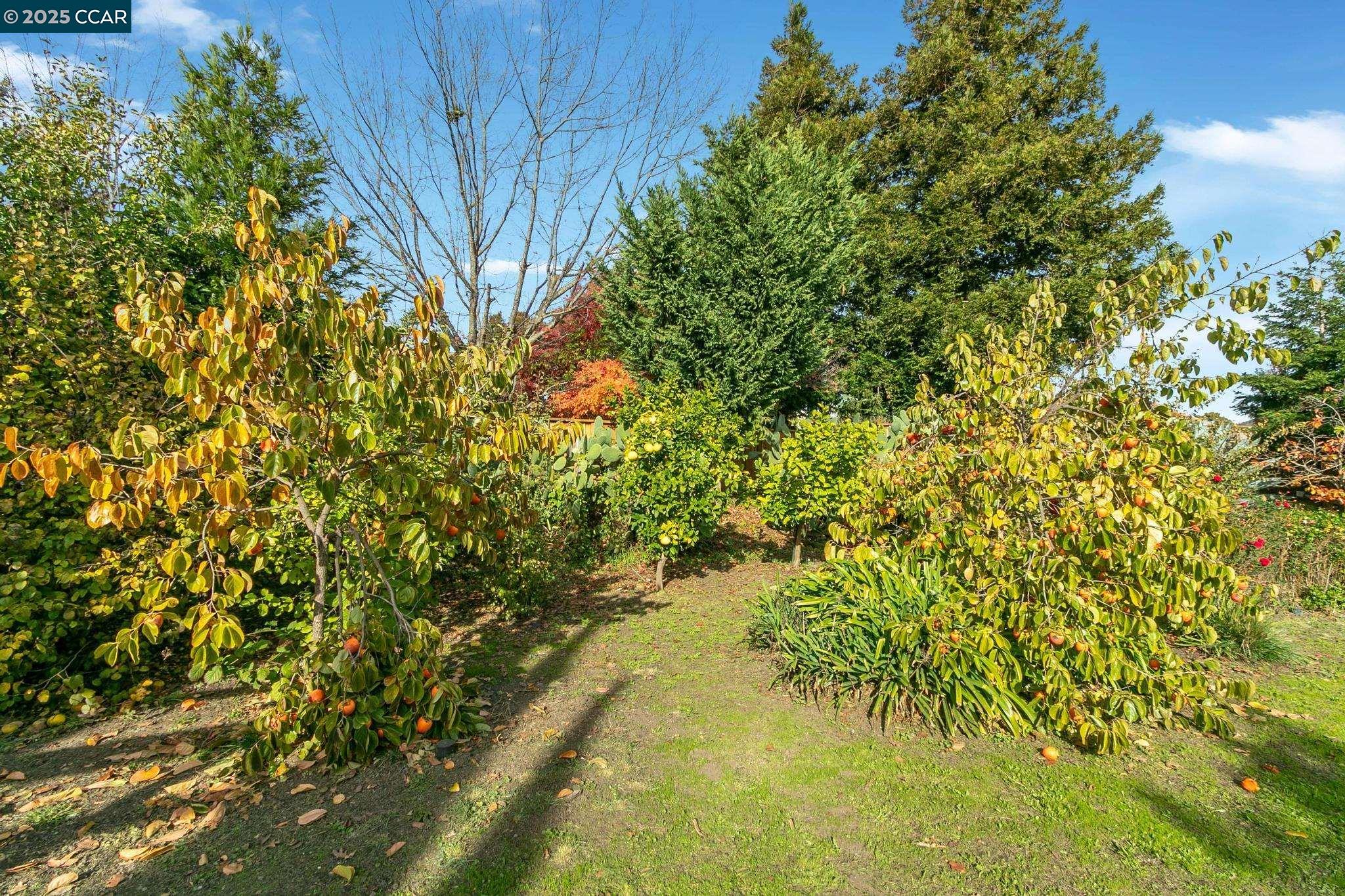 Detail Gallery Image 34 of 42 For 732 Antiquity Dr, Fairfield,  CA 94534 - 5 Beds | 3/1 Baths