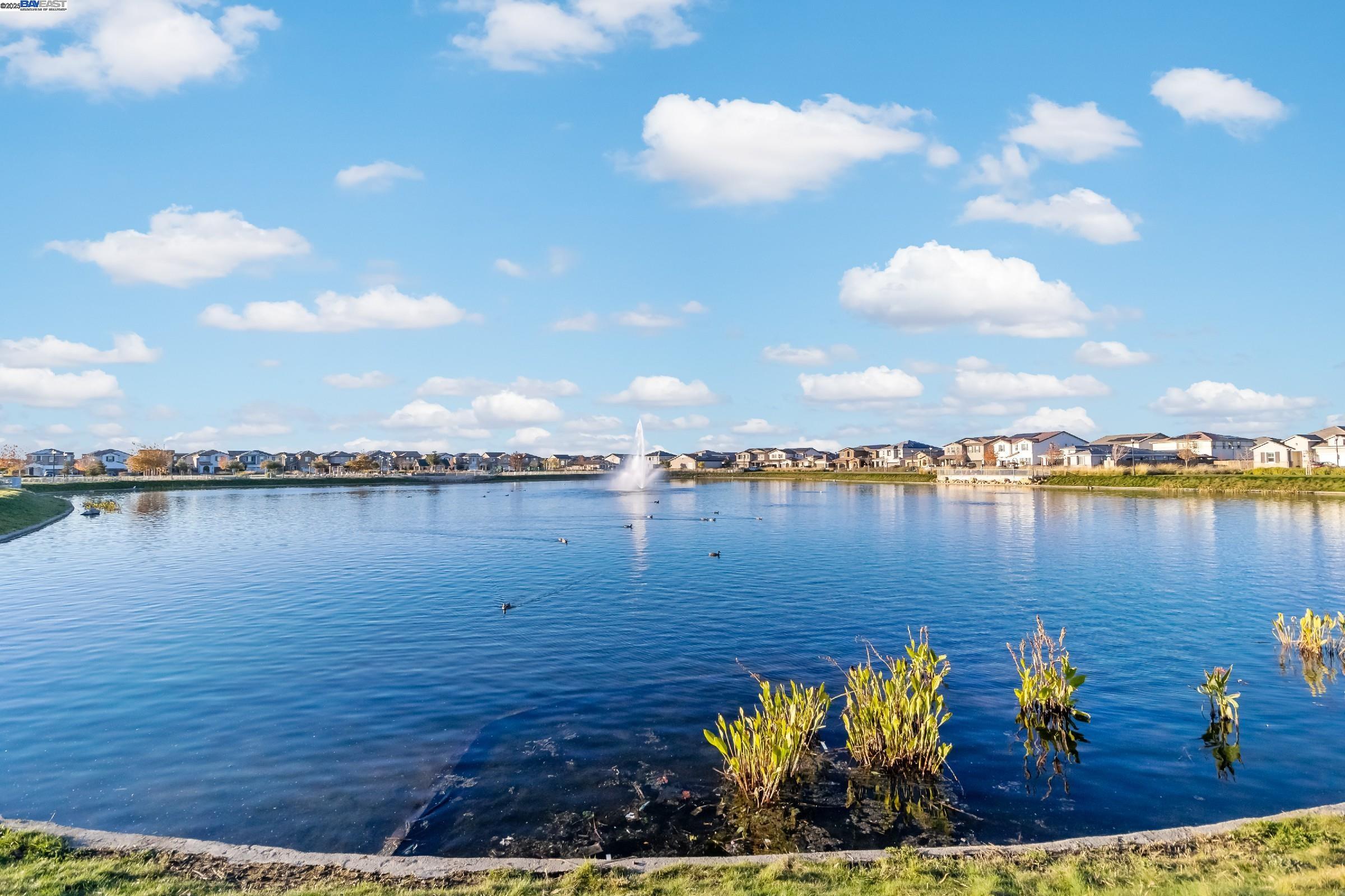 Detail Gallery Image 54 of 59 For 717 Delaney, Oakley,  CA 94561 - 5 Beds | 3/1 Baths