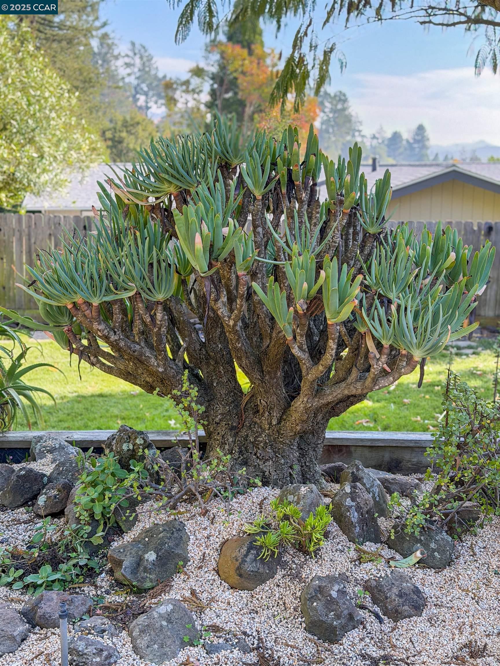 Detail Gallery Image 40 of 49 For 34 Ashbrook Pl, Moraga,  CA 94556 - 4 Beds | 2 Baths