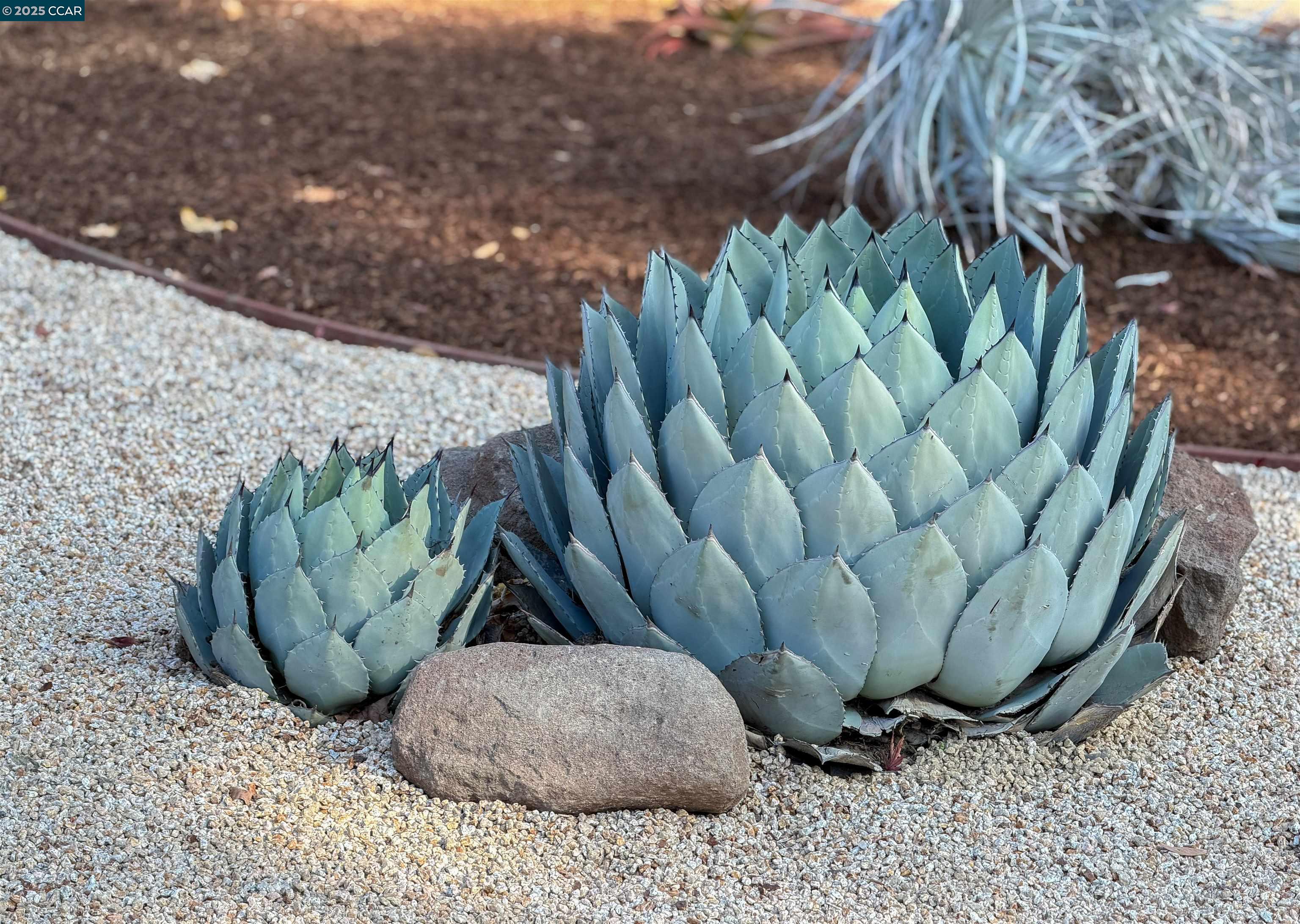 Detail Gallery Image 41 of 49 For 34 Ashbrook Pl, Moraga,  CA 94556 - 4 Beds | 2 Baths