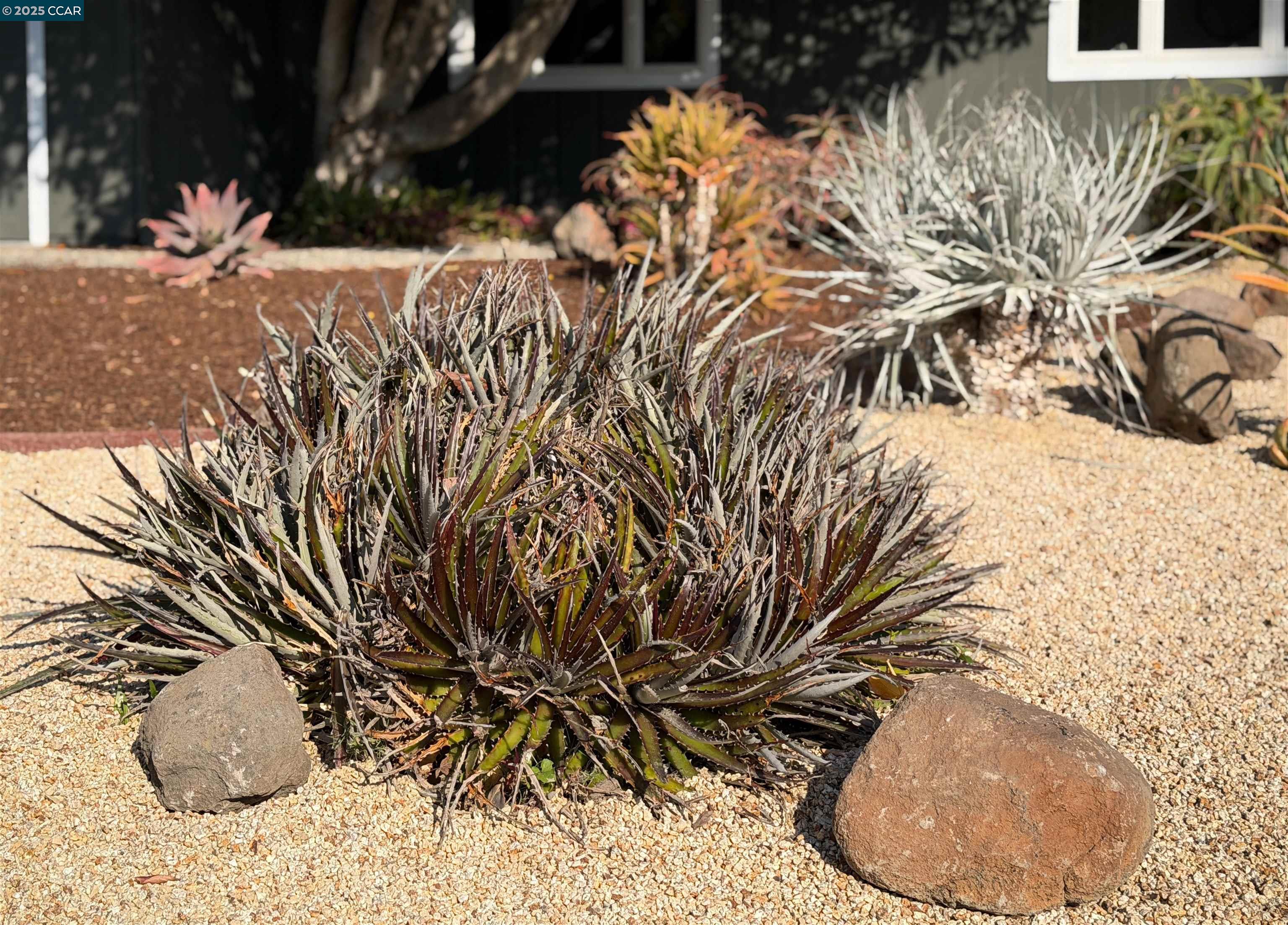 Detail Gallery Image 42 of 49 For 34 Ashbrook Pl, Moraga,  CA 94556 - 4 Beds | 2 Baths