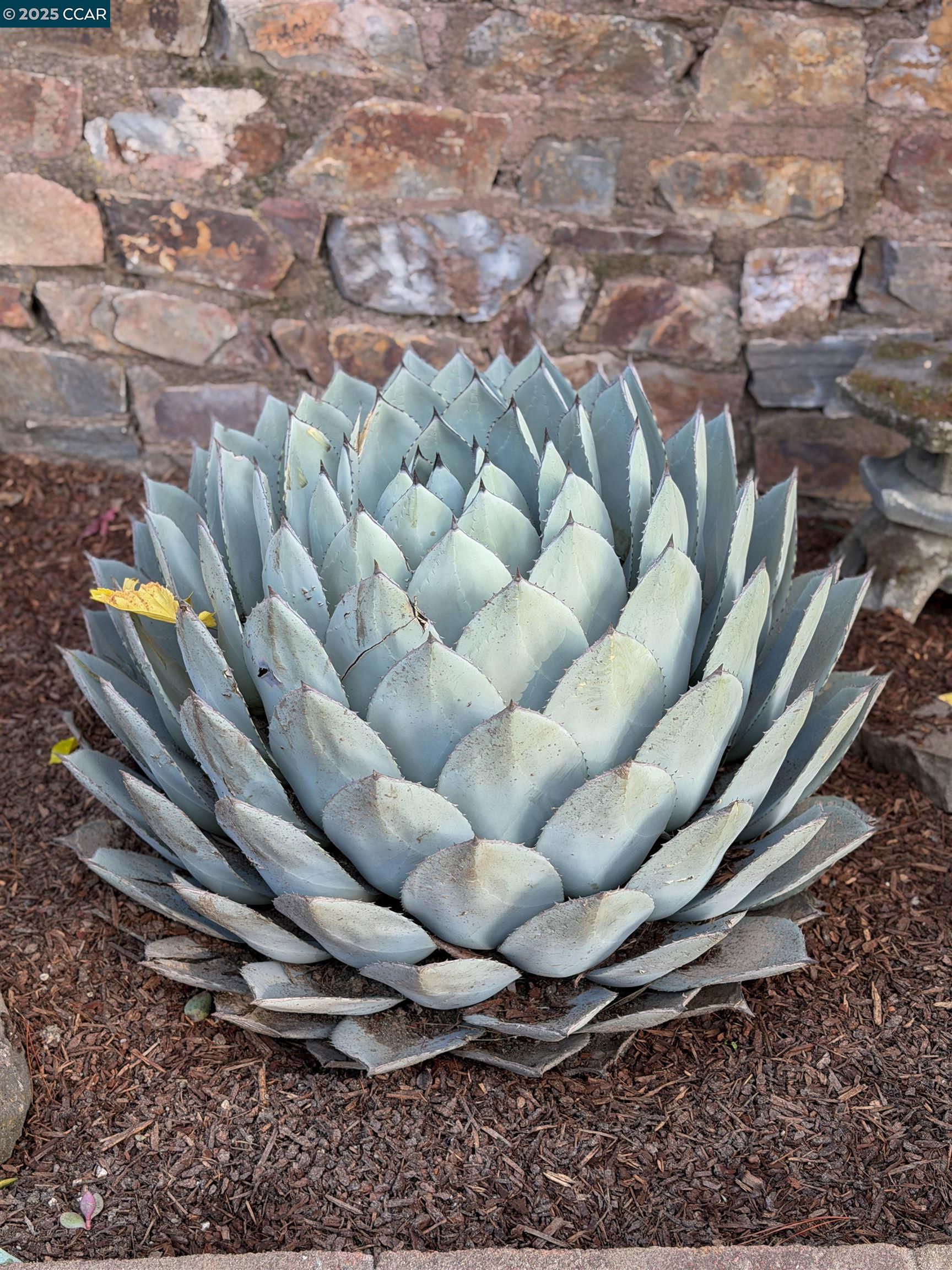 Detail Gallery Image 44 of 49 For 34 Ashbrook Pl, Moraga,  CA 94556 - 4 Beds | 2 Baths