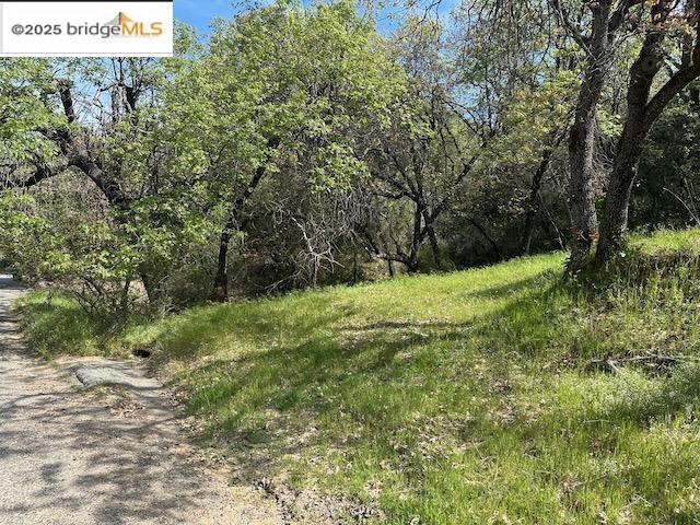 Detail Gallery Image 6 of 6 For 21327 American River Dr, Sonora,  CA 95370 - – Beds | – Baths