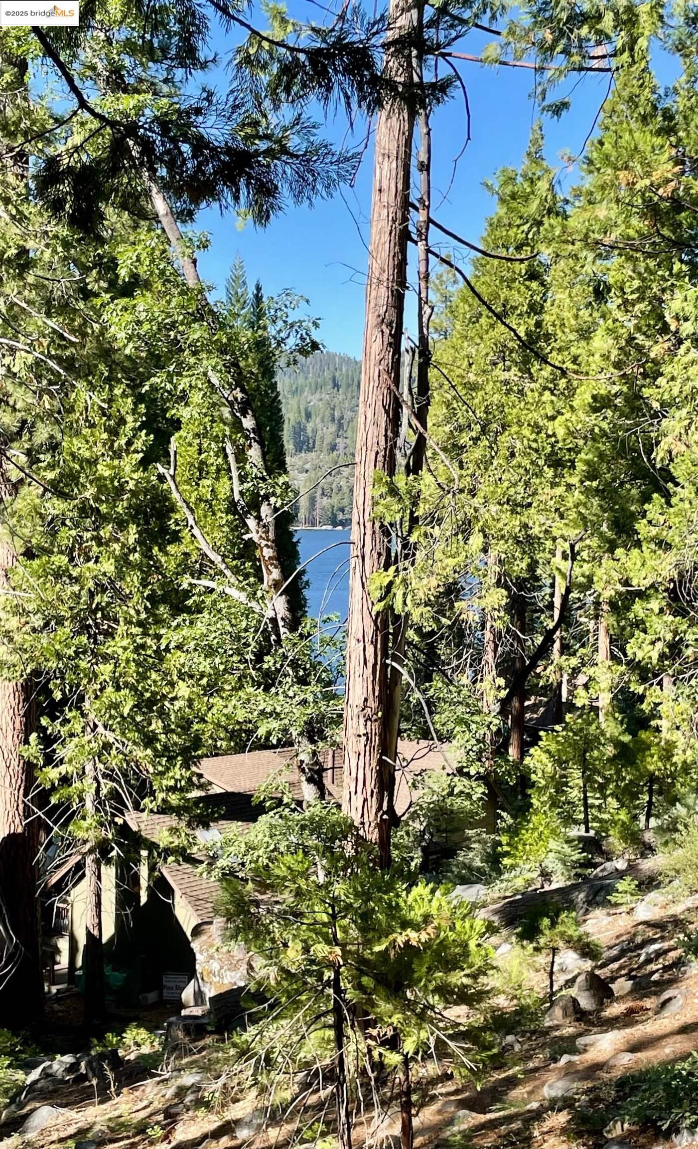 Detail Gallery Image 13 of 30 For 340 Lakeshore  Drive, Pinecrest,  CA 95364 - 2 Beds | 1 Baths