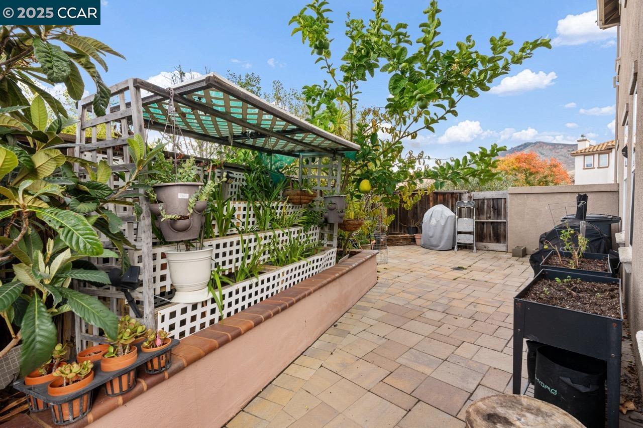 Detail Gallery Image 51 of 60 For 995 Rosehedge Ct, Concord,  CA 94521 - 5 Beds | 3/1 Baths