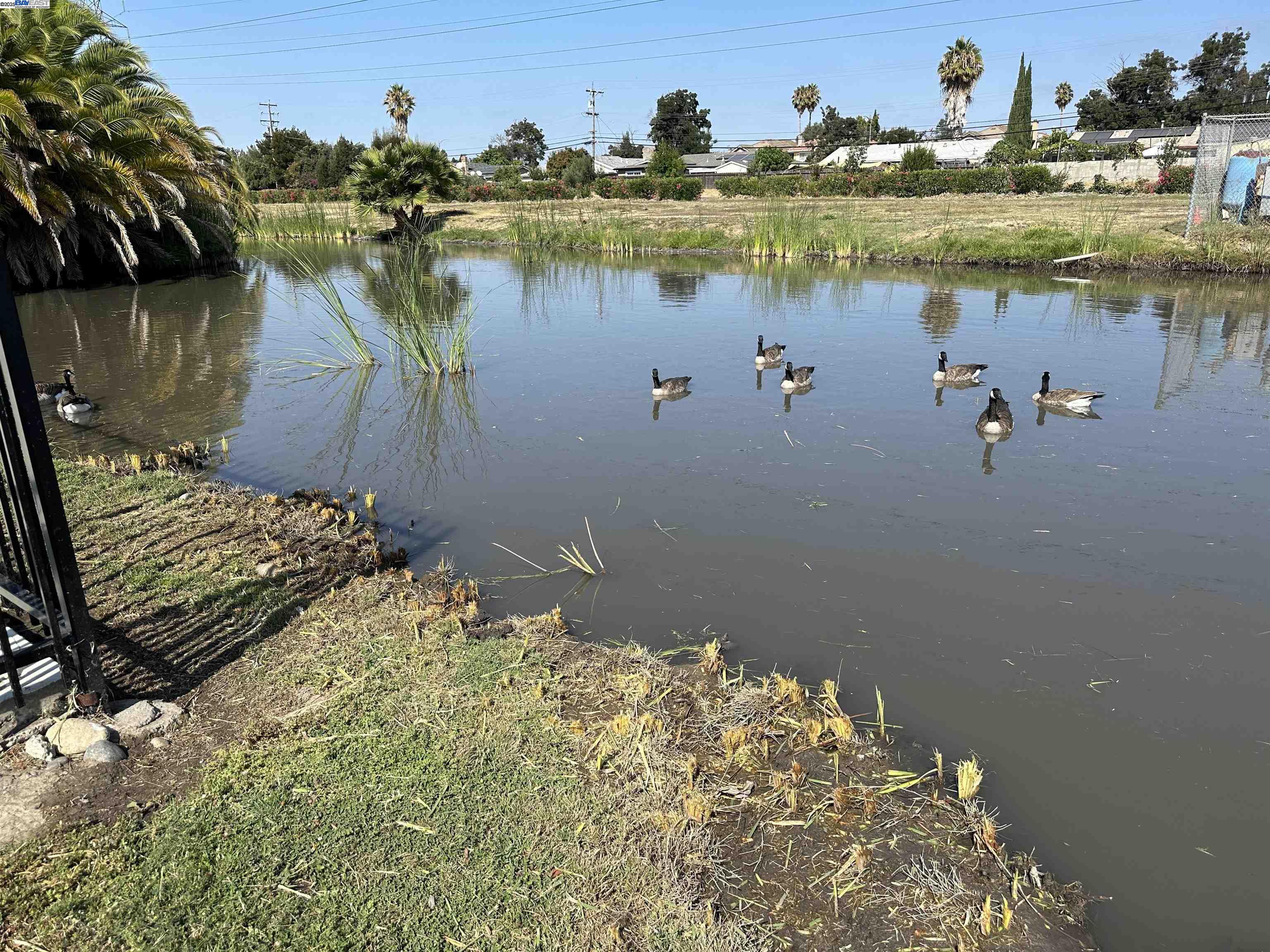 Detail Gallery Image 43 of 45 For 319 Winnipeg Green, Fremont,  CA 94538 - 3 Beds | 2 Baths