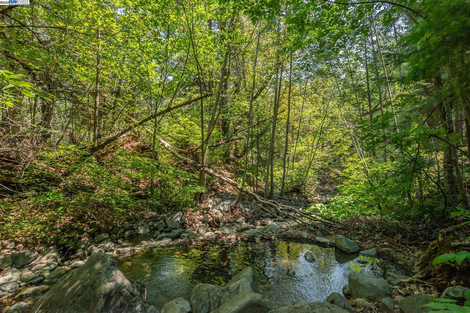 Detail Gallery Image 30 of 35 For 1371 Eagle Creek Loop Rd, –,  CA 96091 - 3 Beds | 2 Baths