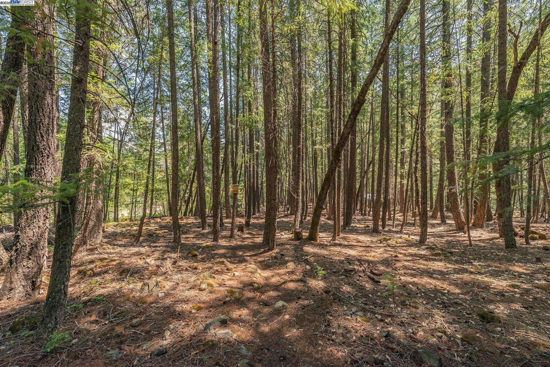 Detail Gallery Image 33 of 35 For 1371 Eagle Creek Loop Rd, –,  CA 96091 - 3 Beds | 2 Baths