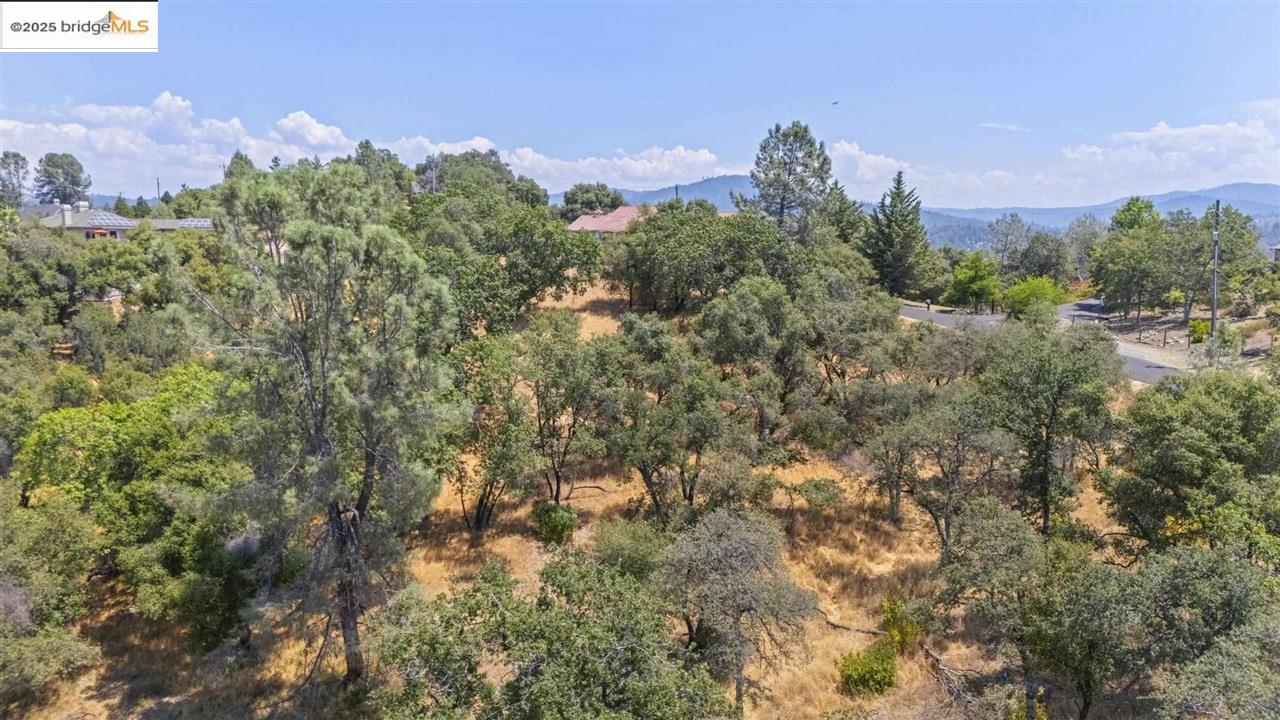 Detail Gallery Image 11 of 14 For 16400 Crestridge Ave, Sonora,  CA 95370 - – Beds | – Baths