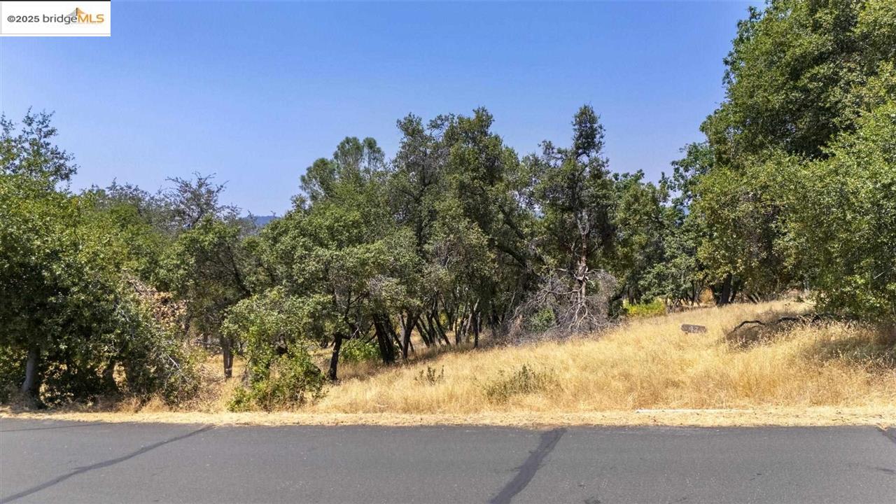 Detail Gallery Image 13 of 14 For 16400 Crestridge Ave, Sonora,  CA 95370 - – Beds | – Baths