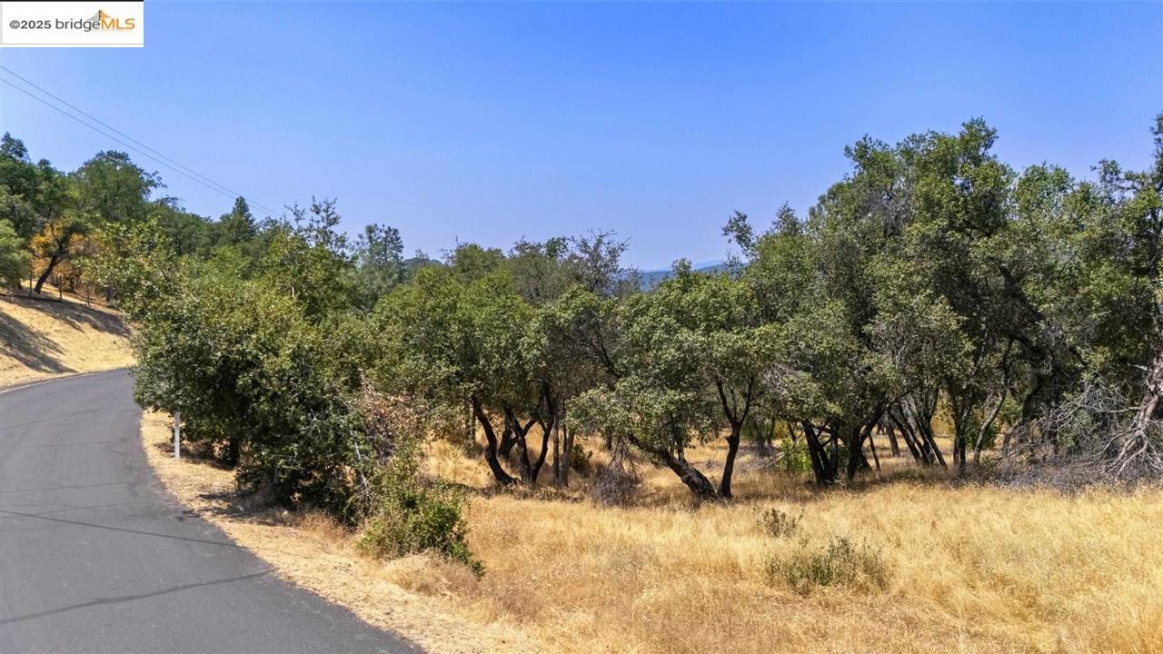 Detail Gallery Image 14 of 14 For 16400 Crestridge Ave, Sonora,  CA 95370 - – Beds | – Baths