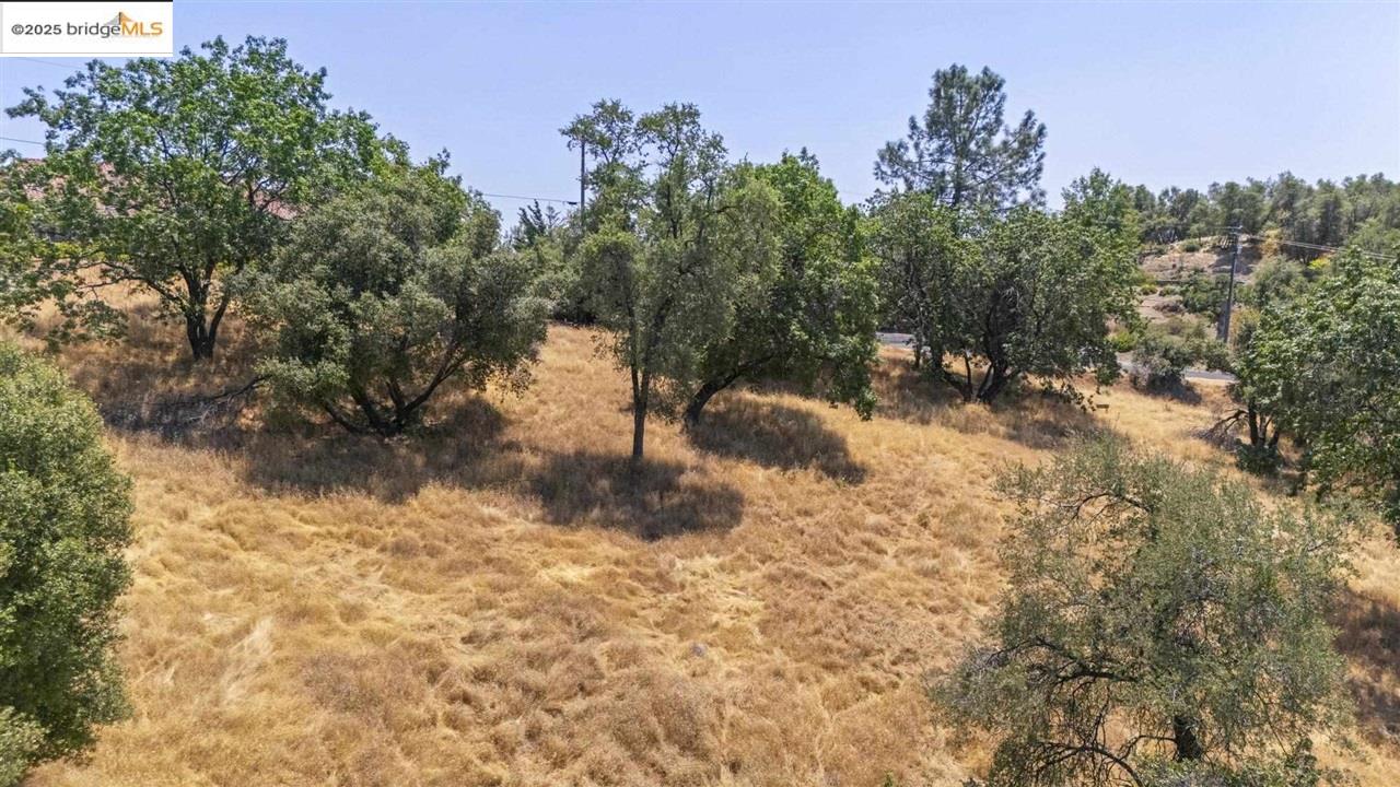 Detail Gallery Image 7 of 14 For 16400 Crestridge Ave, Sonora,  CA 95370 - – Beds | – Baths