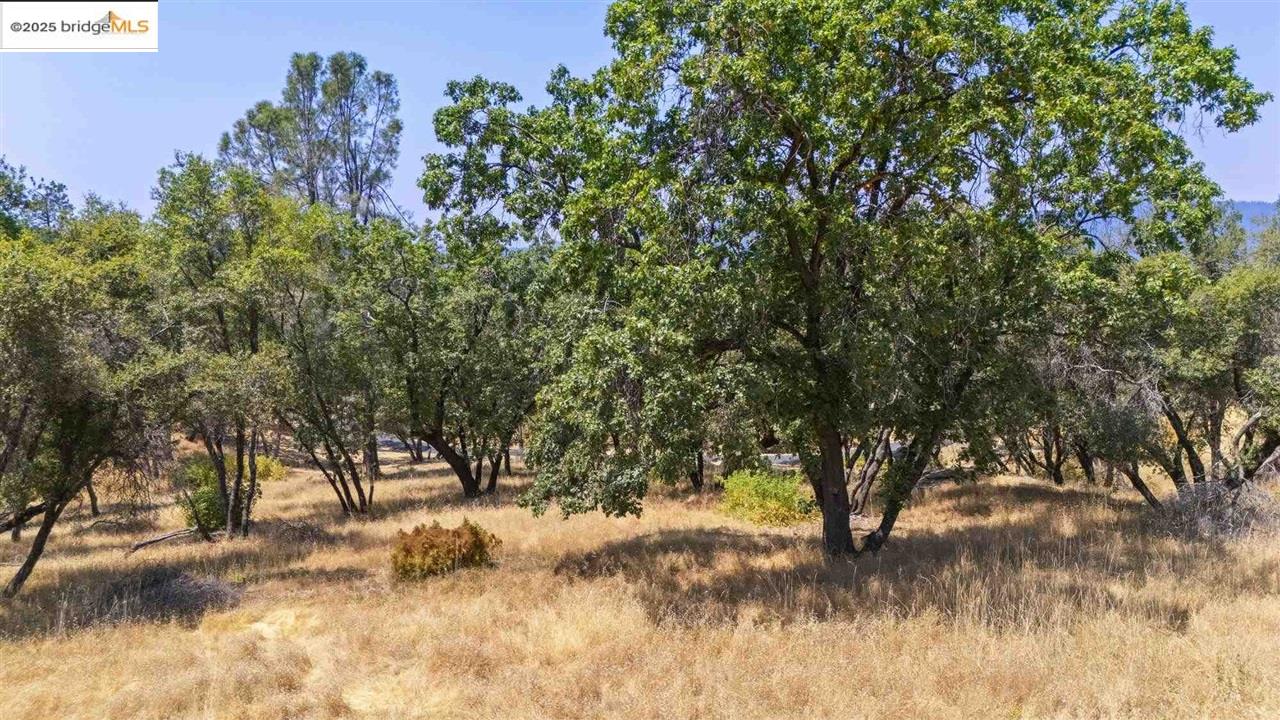 Detail Gallery Image 9 of 14 For 16400 Crestridge Ave, Sonora,  CA 95370 - – Beds | – Baths