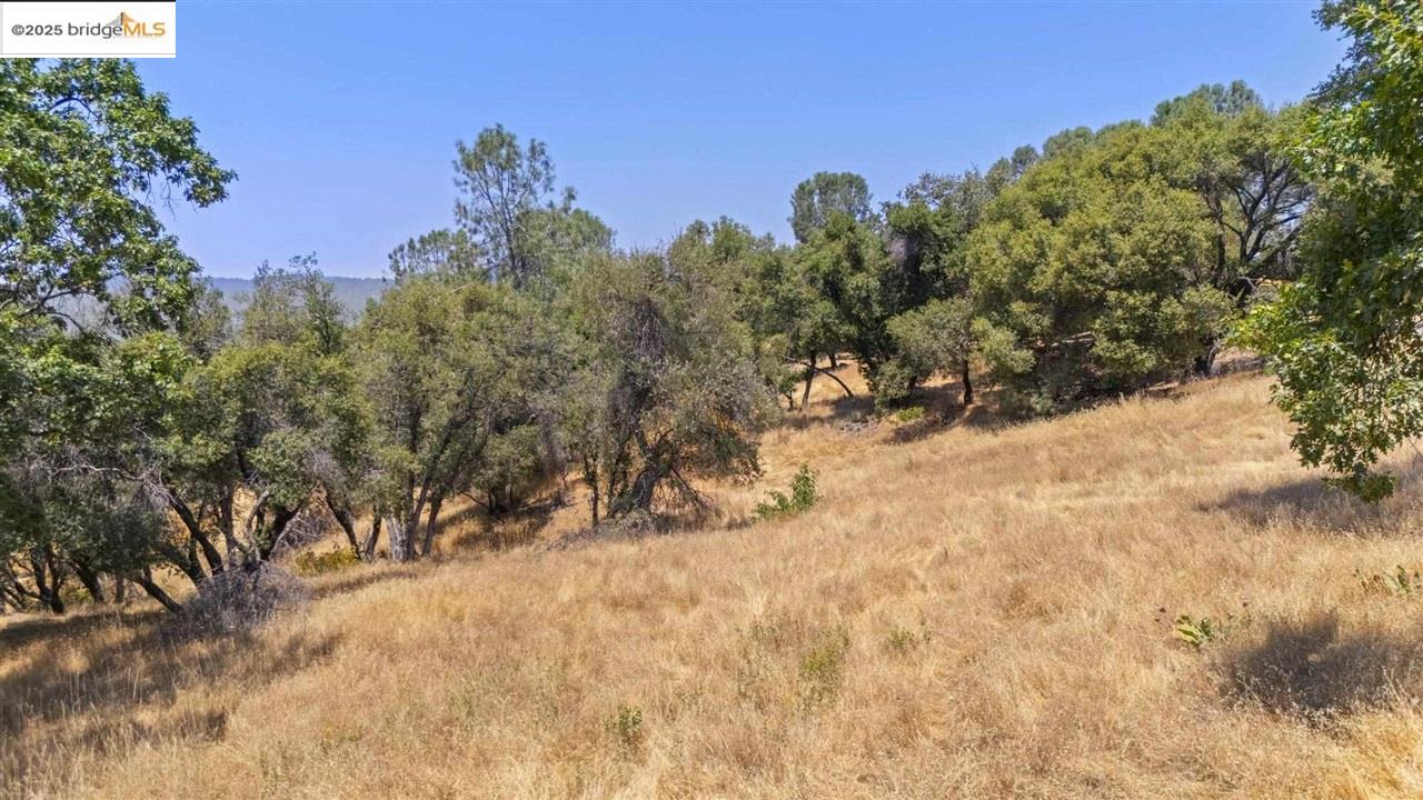 Detail Gallery Image 10 of 14 For 16400 Crestridge Ave, Sonora,  CA 95370 - – Beds | – Baths