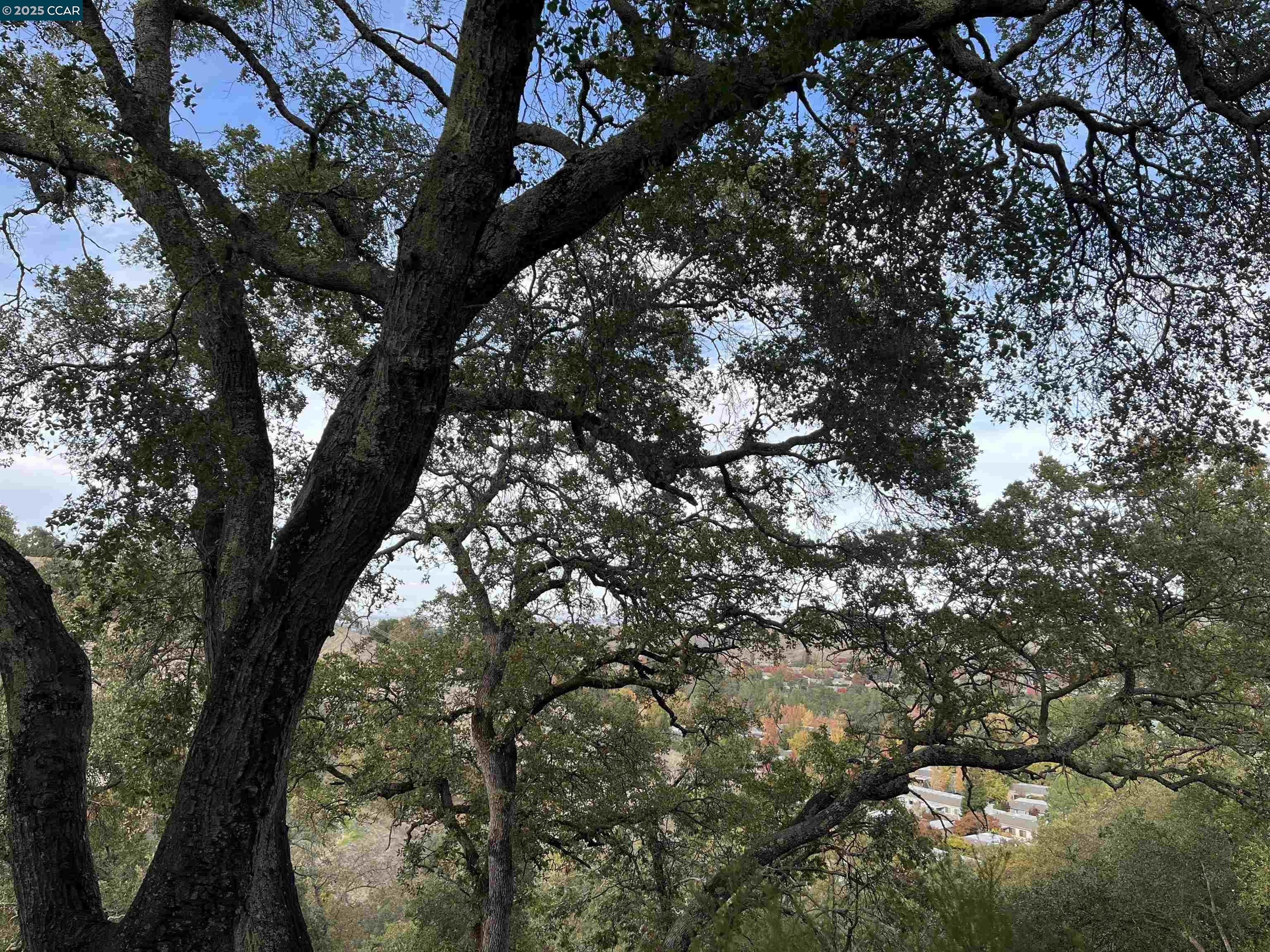 Detail Gallery Image 3 of 35 For 3120 Ptarmigan Dr. #3,  Walnut Creek,  CA 94595 - 2 Beds | 2 Baths