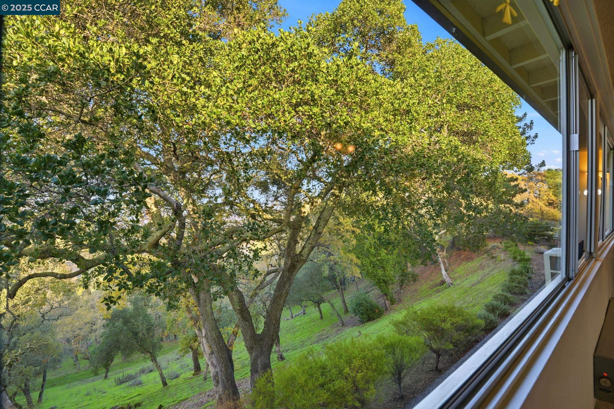 Detail Gallery Image 34 of 35 For 3120 Ptarmigan Dr. #3,  Walnut Creek,  CA 94595 - 2 Beds | 2 Baths