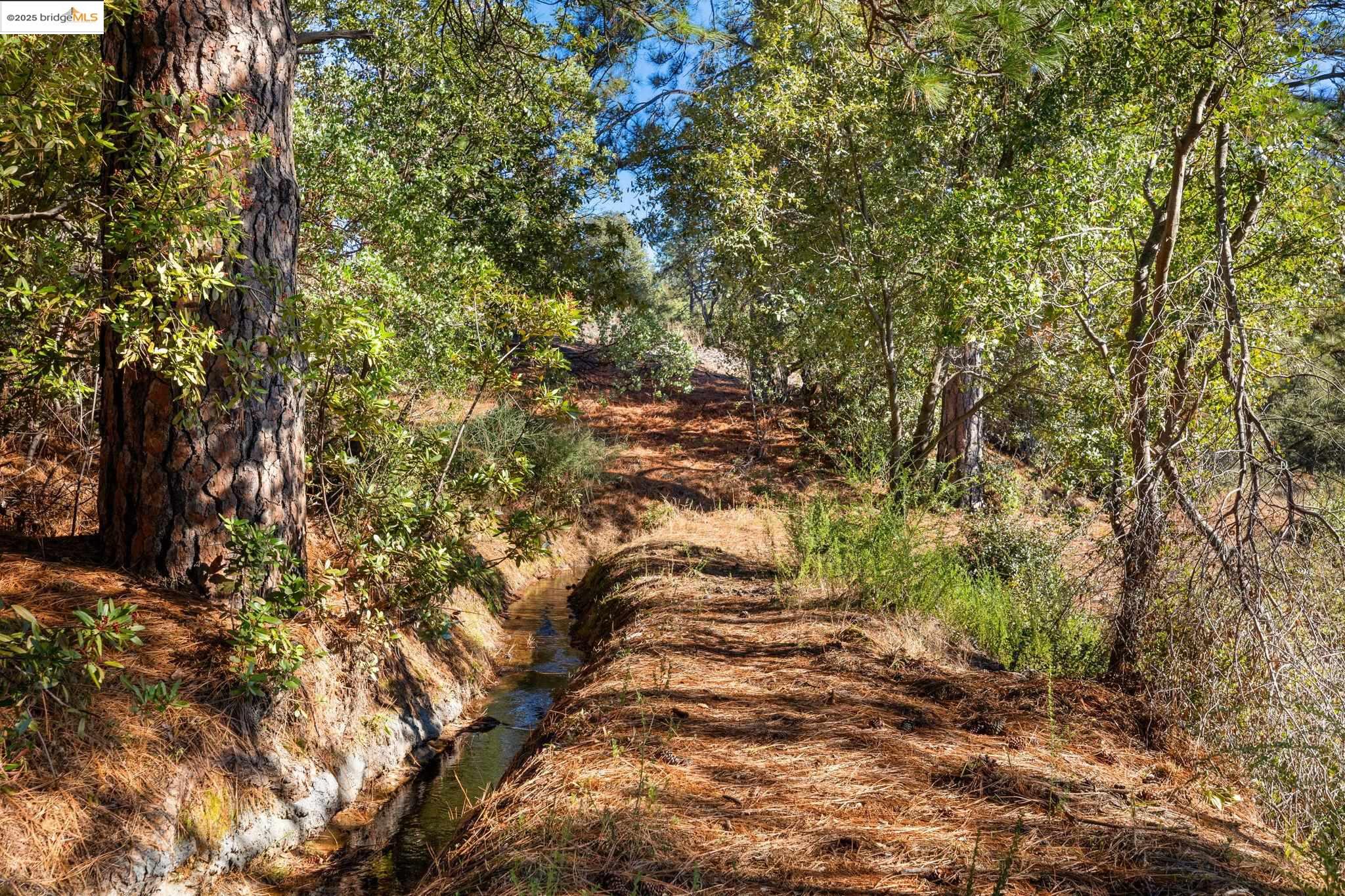 Detail Gallery Image 12 of 18 For 11210 Forest Park Rd, Columbia,  CA 95310 - – Beds | – Baths